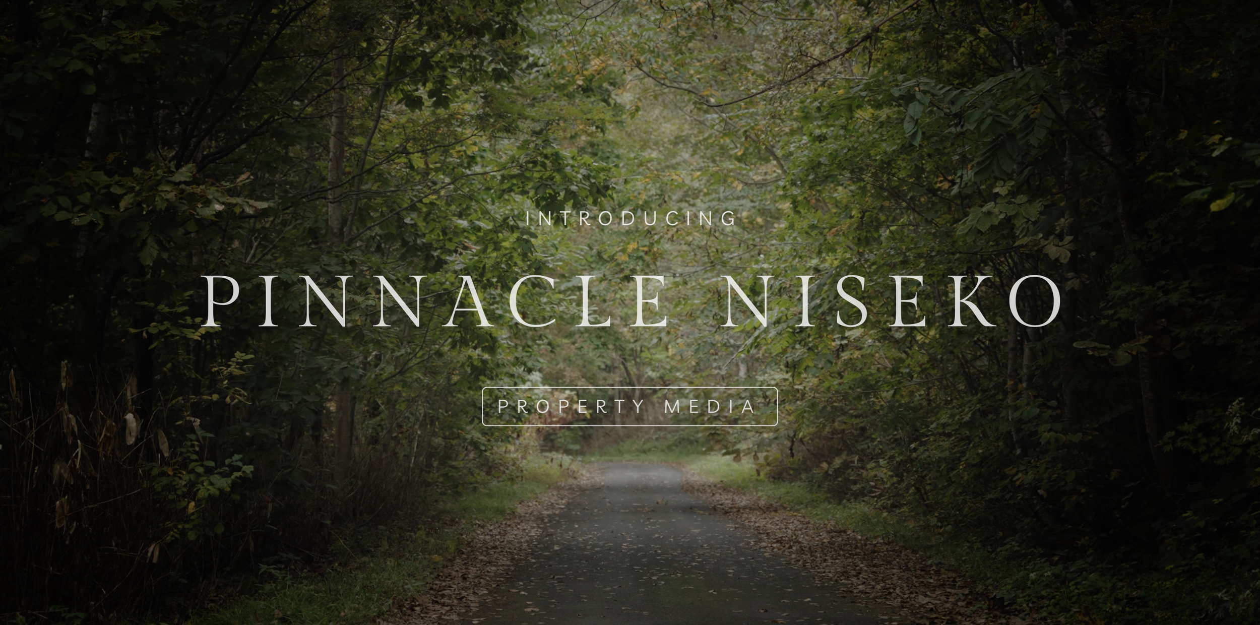 Pinnacle Niseko (Section) - Niseko Real Estate Videography