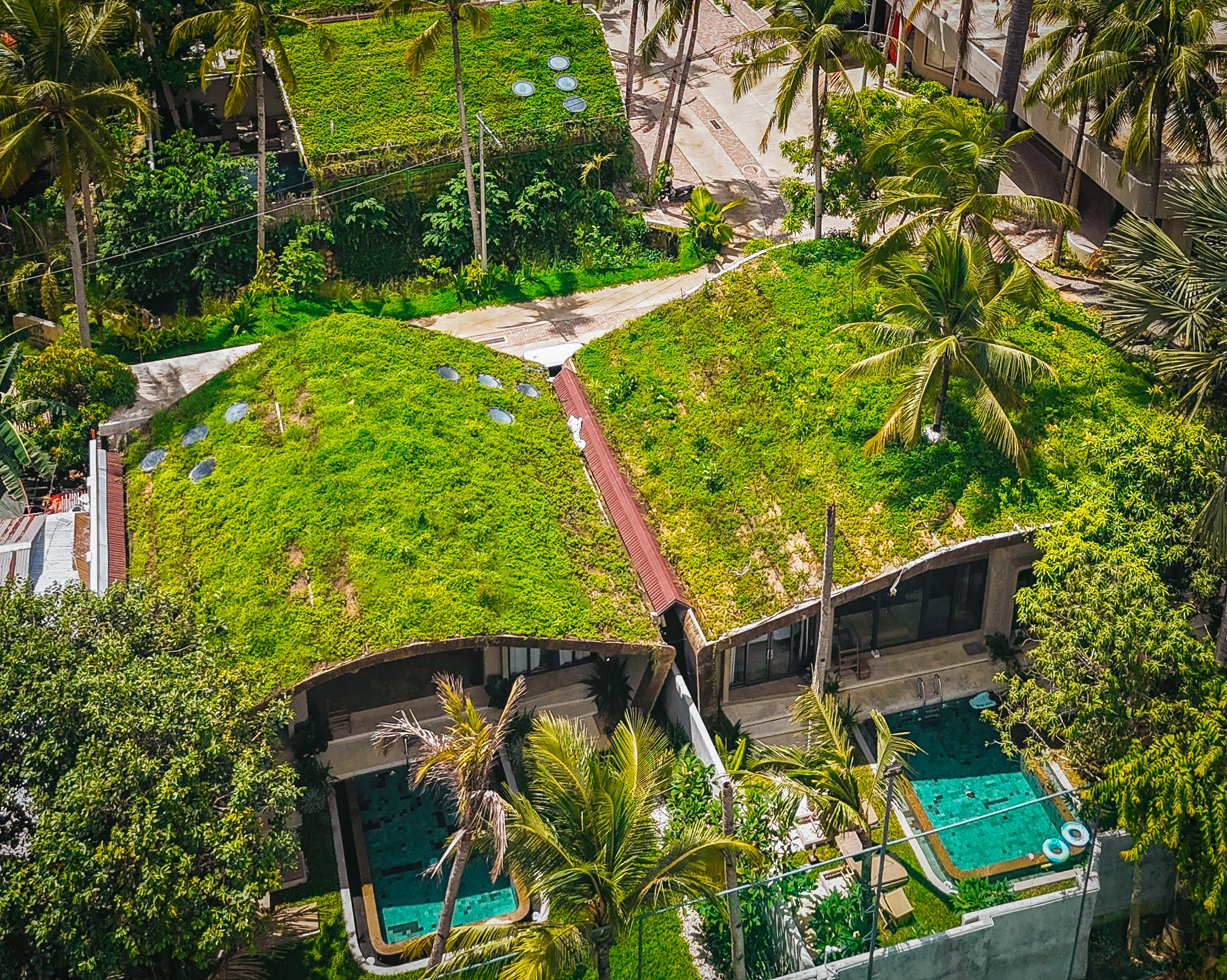 Photo 5-16-25, 13 15 47 cropped.jpg