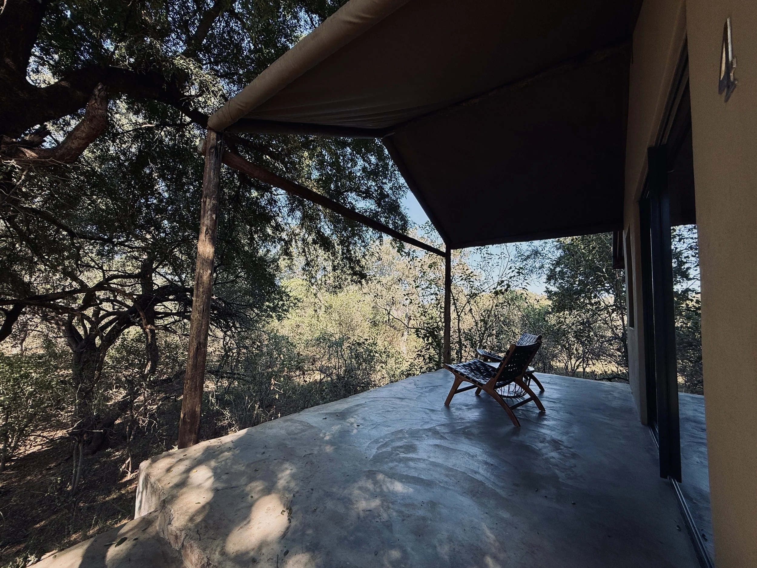 A shaded outdoor patio with two wooden chairs on a concrete surface, overlooking trees and foliage.