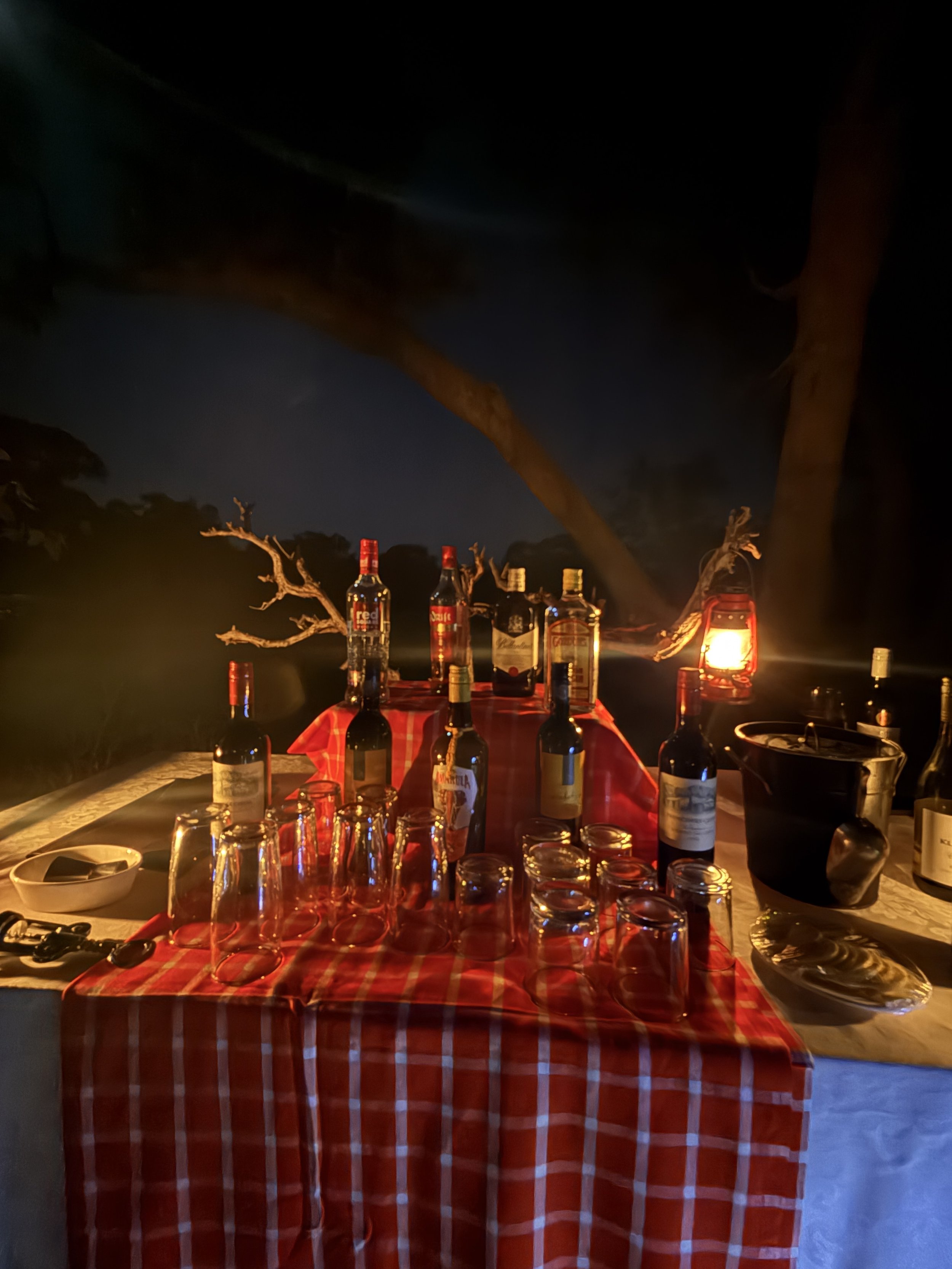 A table with a red checkered tablecloth set outdoors at night, holding bottles of alcohol, glasses, and a lantern providing warm lighting, with a dark night sky in the background.