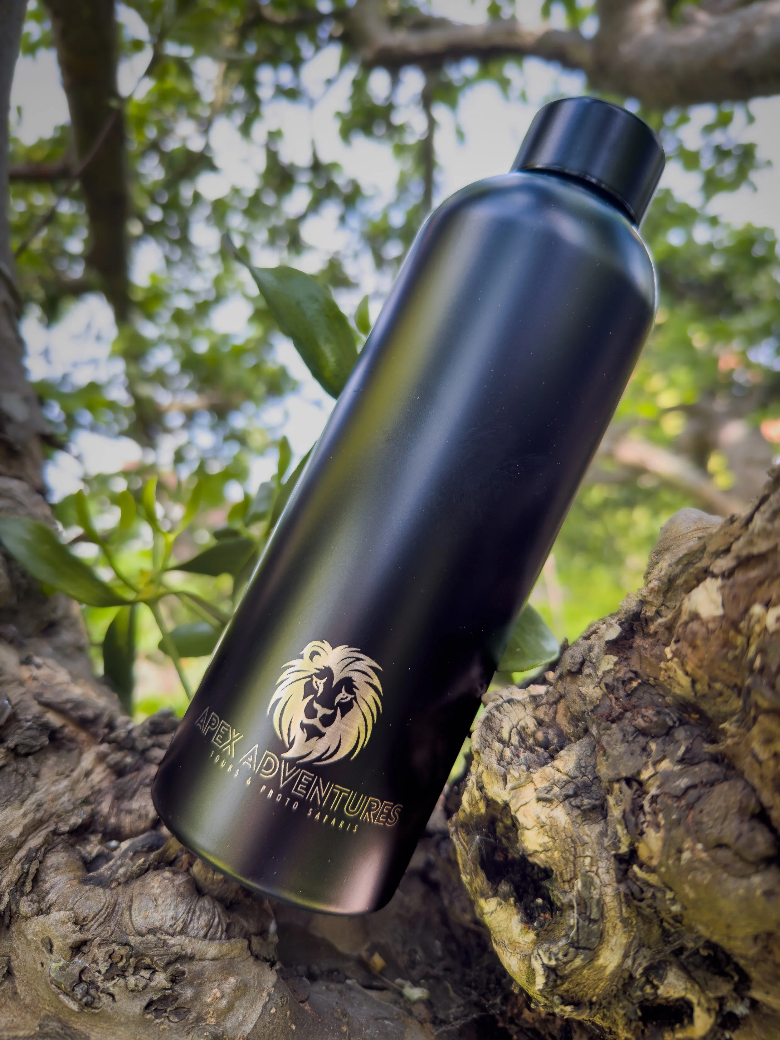 Apex 500ml Thermal Reusable Bottle - Black