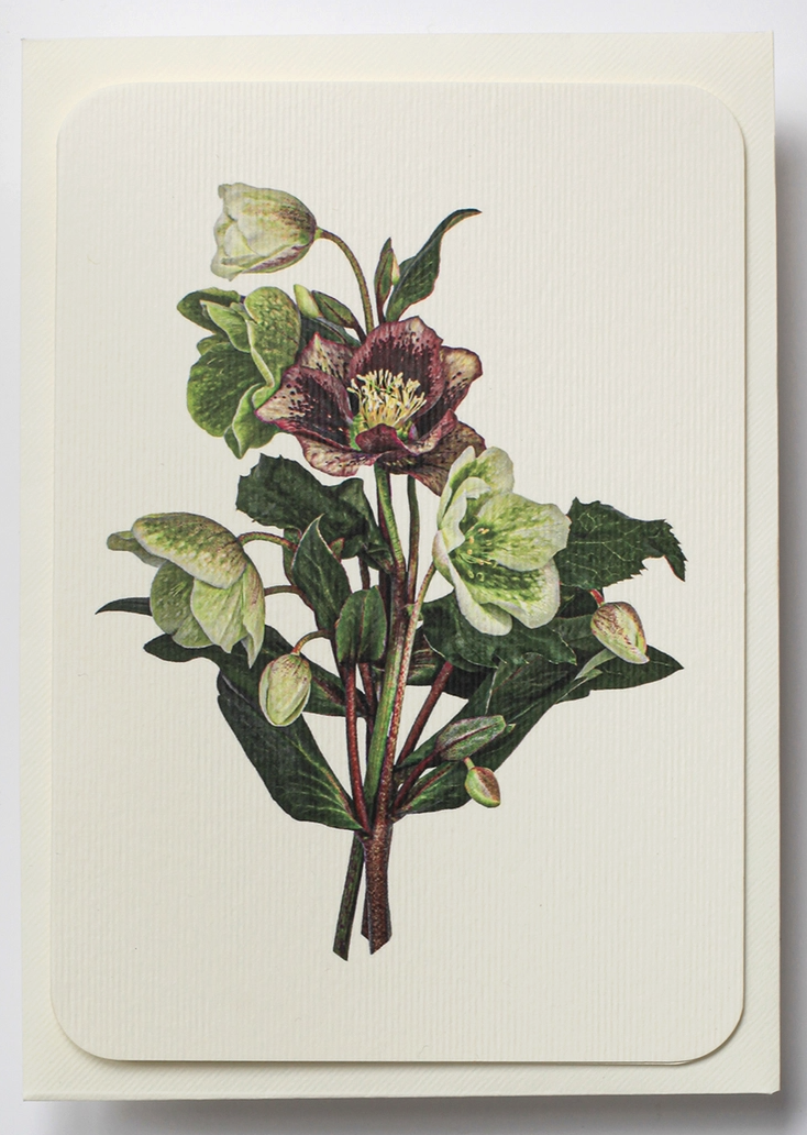 Screenshot 2026-03-08 at 12.11.52.png