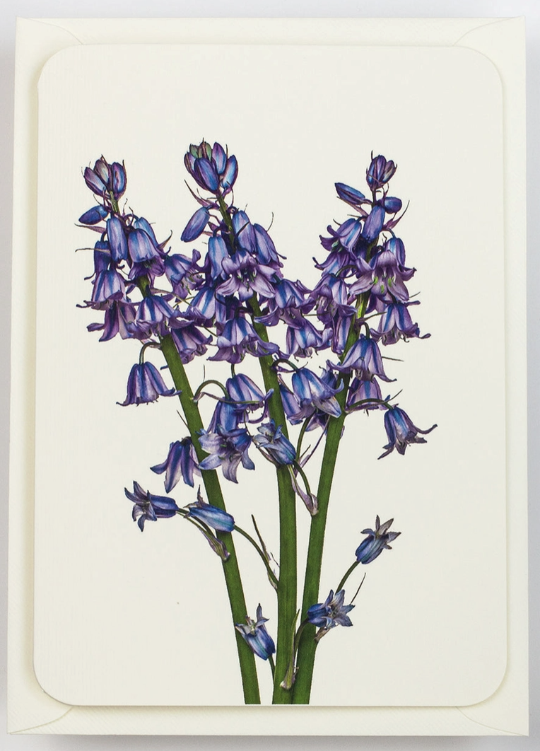 Screenshot 2026-03-08 at 12.13.10.png