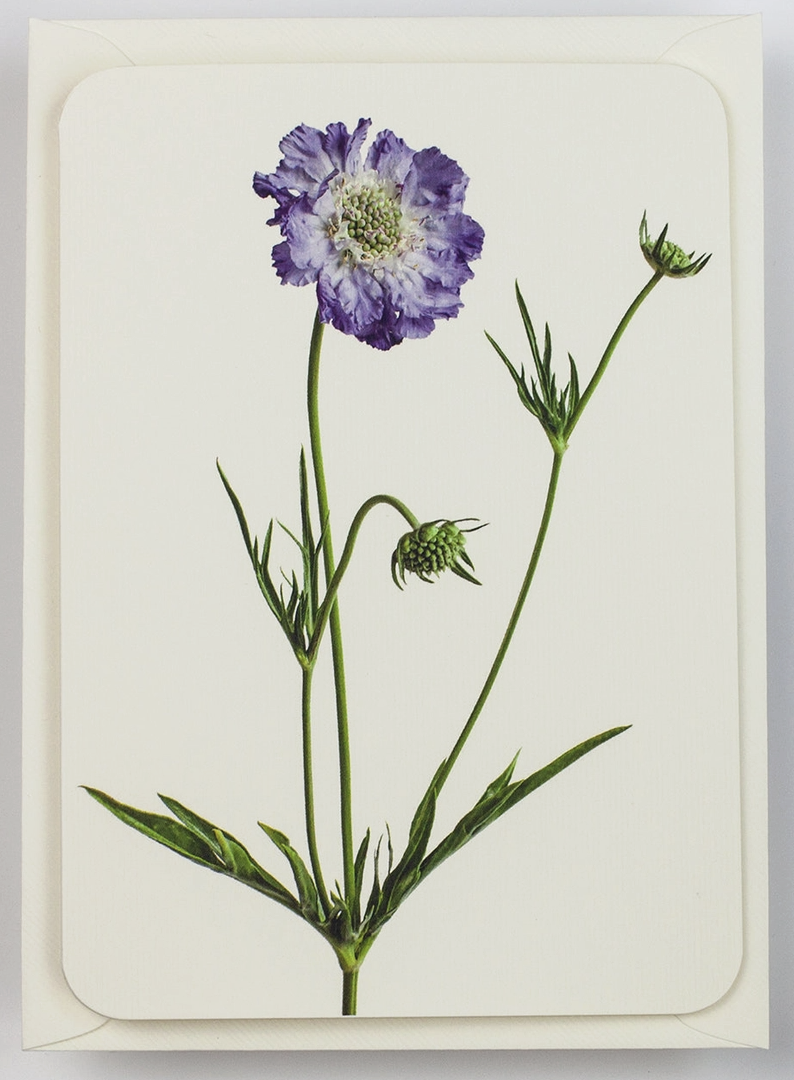 Screenshot 2026-03-08 at 12.12.28.png