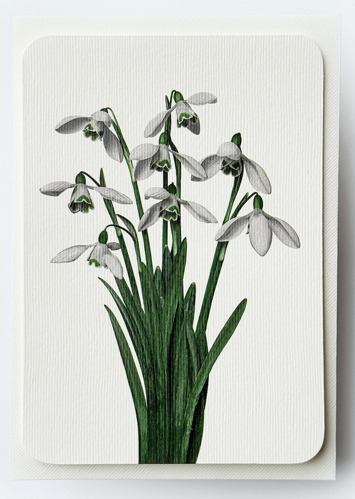 Screenshot 2026-03-08 at 12.19.59.png