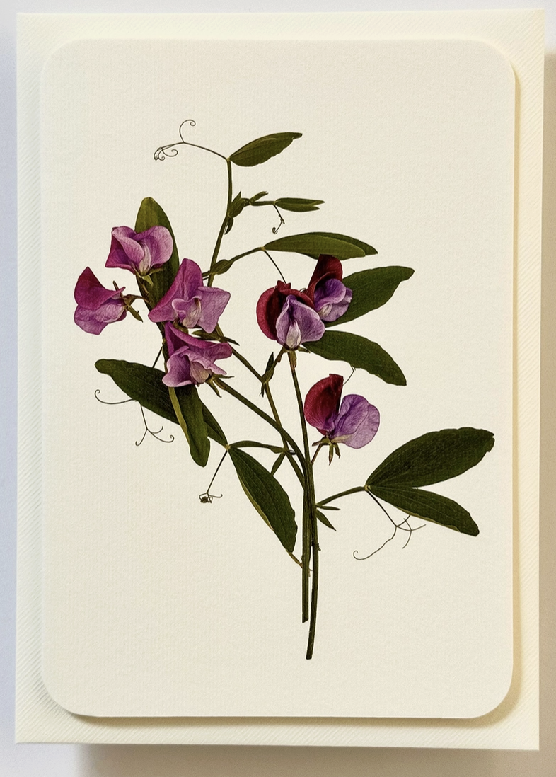 Screenshot 2026-03-08 at 12.20.11.png