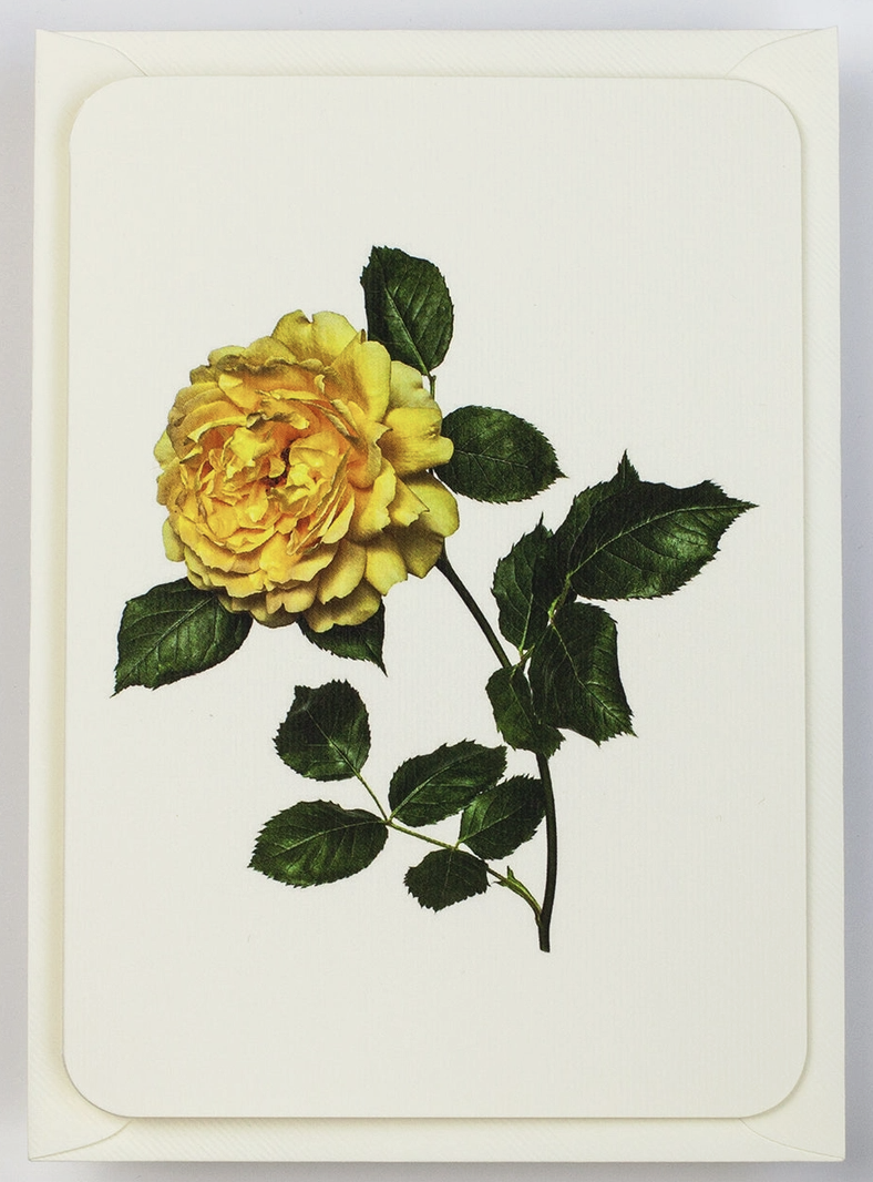 Screenshot 2026-03-08 at 12.12.05.png