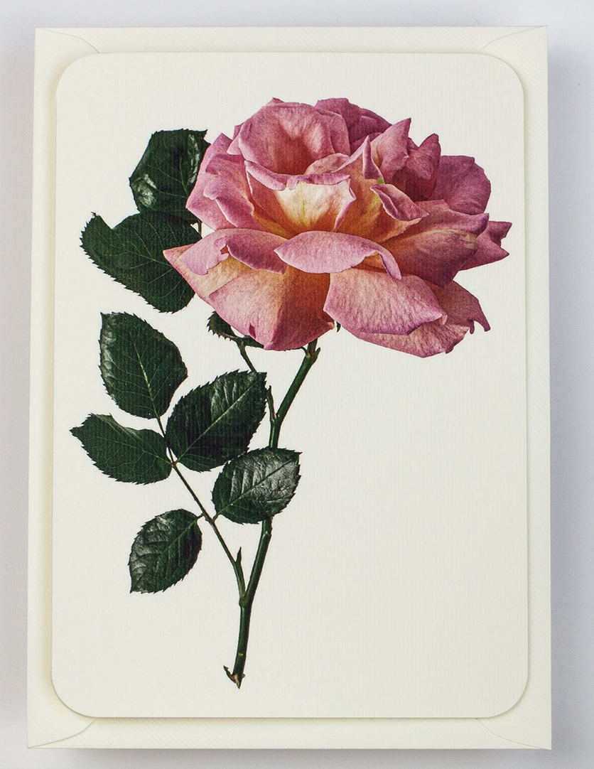 Gift Cards - Canonbury Press - Flower Collection