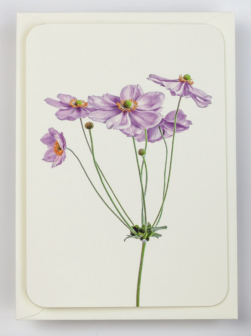 Screenshot 2026-03-08 at 12.10.39.png