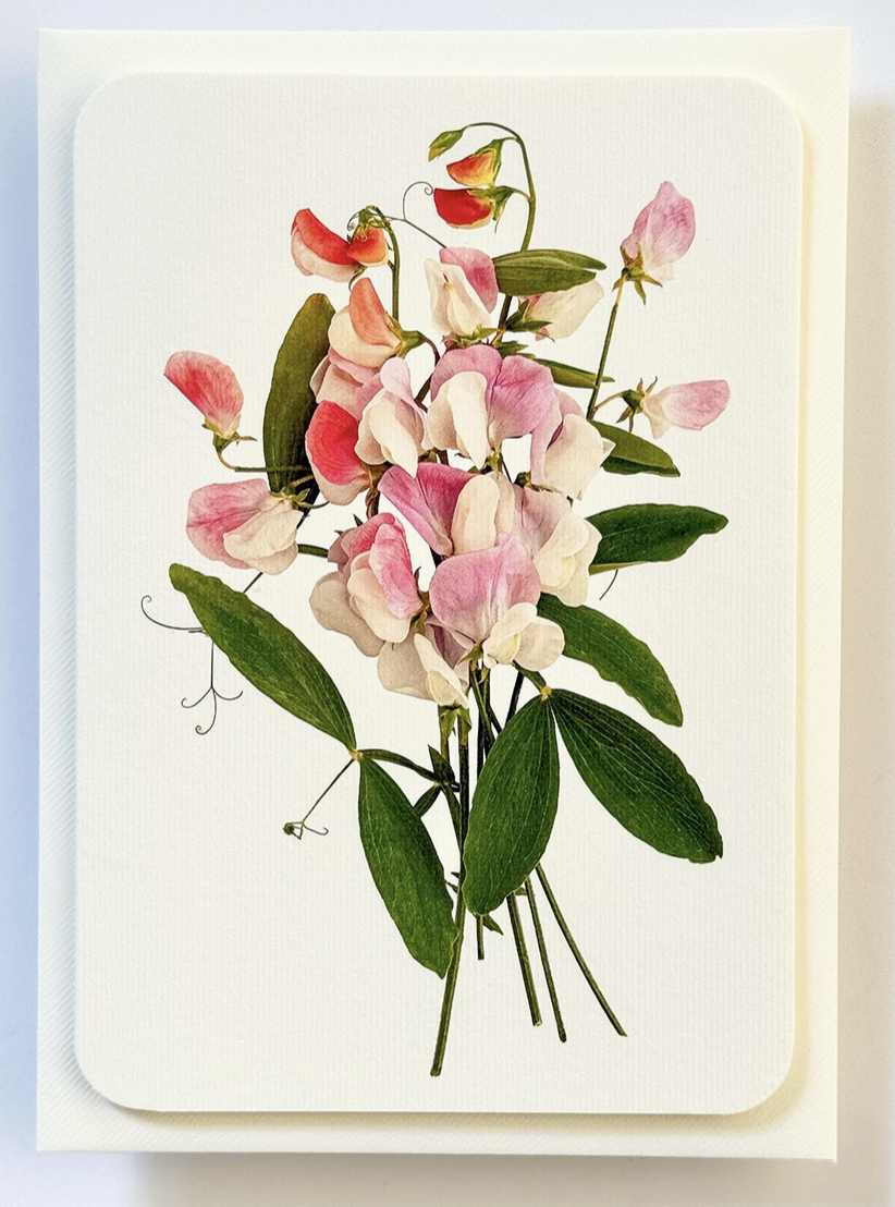 Screenshot 2026-03-08 at 12.11.36.png