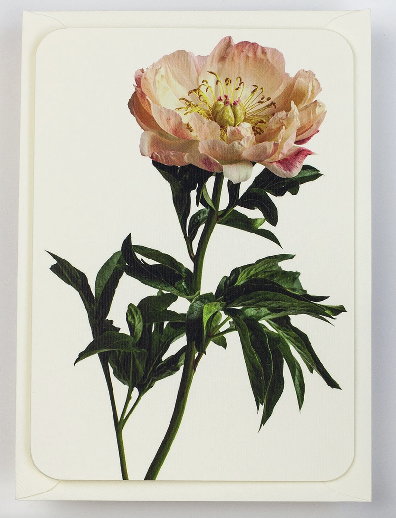 Screenshot 2026-03-08 at 12.11.11.png