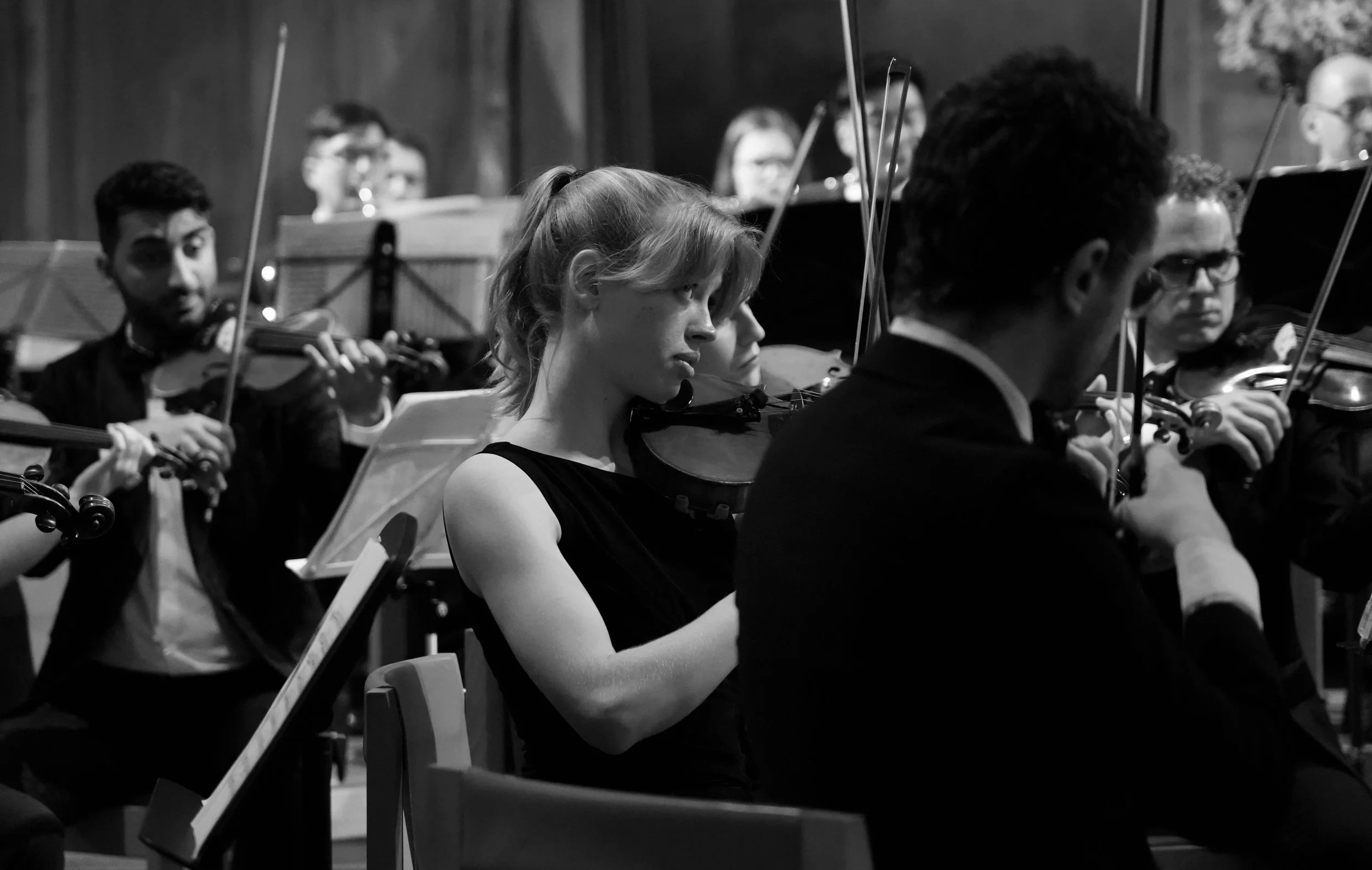 DSC08275.jpg