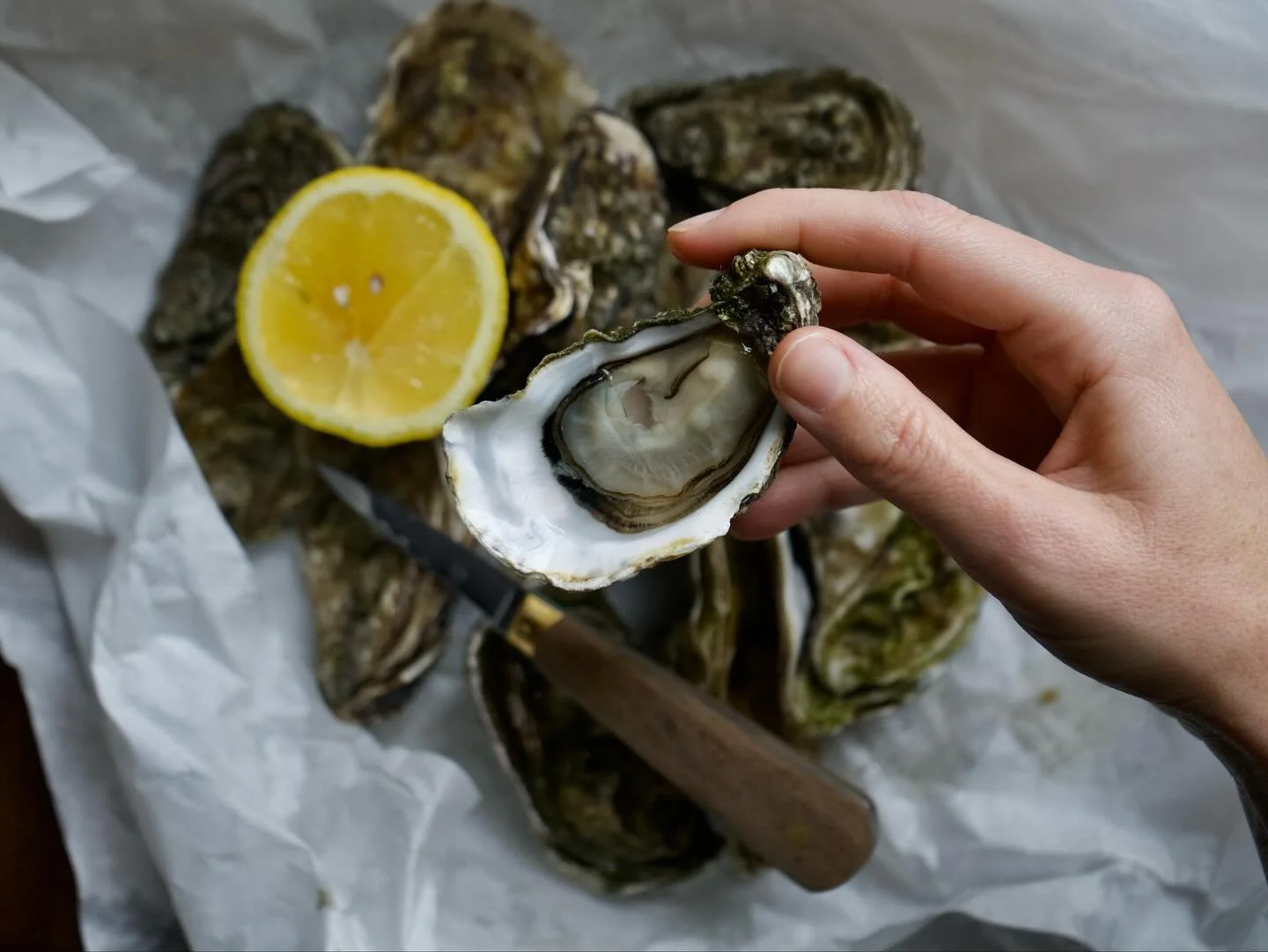 Fresh. Pure. Perfect. Served with shallot mignonette. @davidlowriefish 🙏

#seafood #oysters #delicious