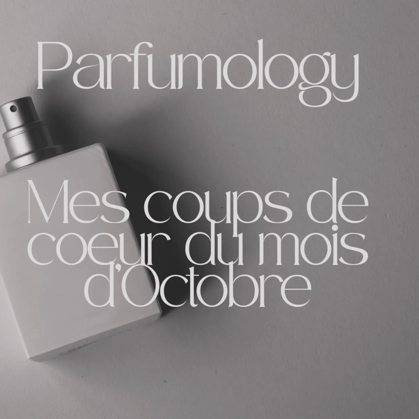 Octobre m&rsquo;a inspir&eacute;&hellip; ☕🍂✨
Ce mois-ci, j&rsquo;ai s&eacute;lectionn&eacute; 3 parfums coup de c&oelig;ur, chacun pens&eacute; pour une ambiance, une humeur et une occasion diff&eacute;rente 
Le carrousel est pr&ecirc;t&hellip; mais