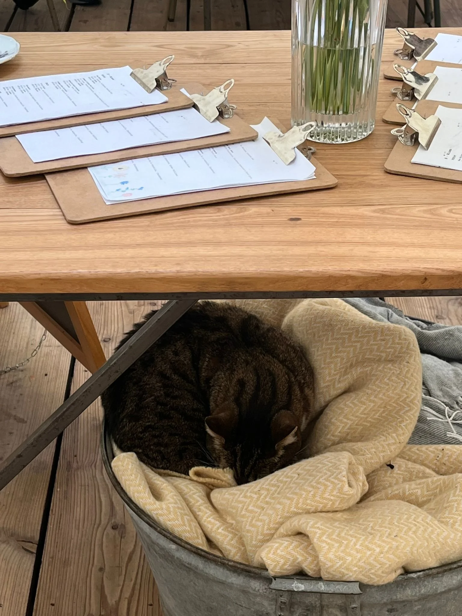 WhatsApp Image 2025-05-26 at 14.38.32 (1).jpeg