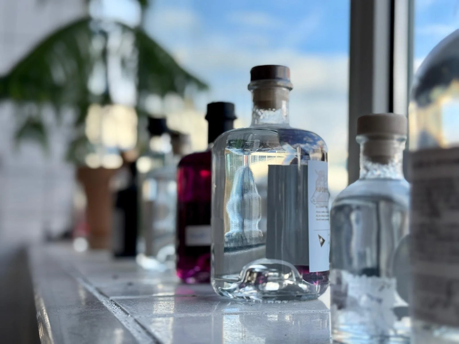 WhatsApp Image 2025-05-26 at 14.36.57 (4).jpeg