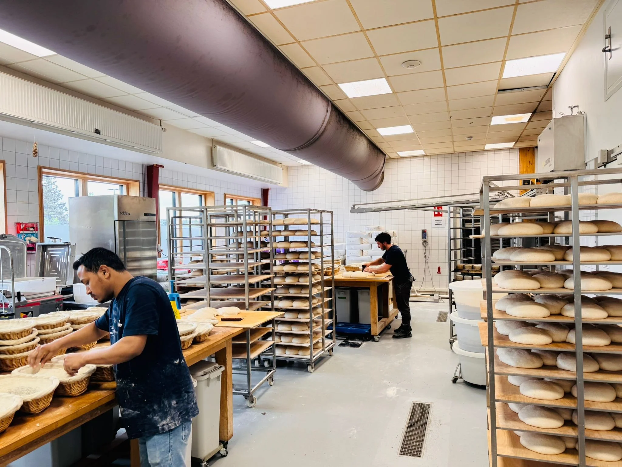 WhatsApp Image 2025-05-26 at 14.35.49 (1).jpeg