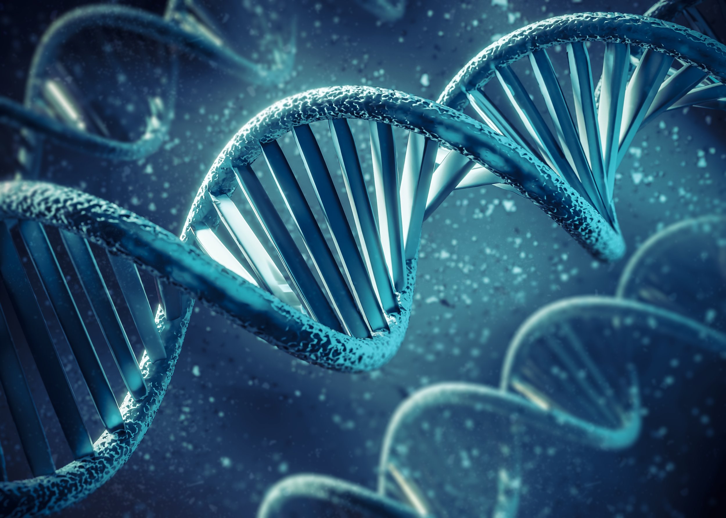 Méthylation et Ménopause : Un Processus Clé pour Mieux Vivre cette Période de Vie