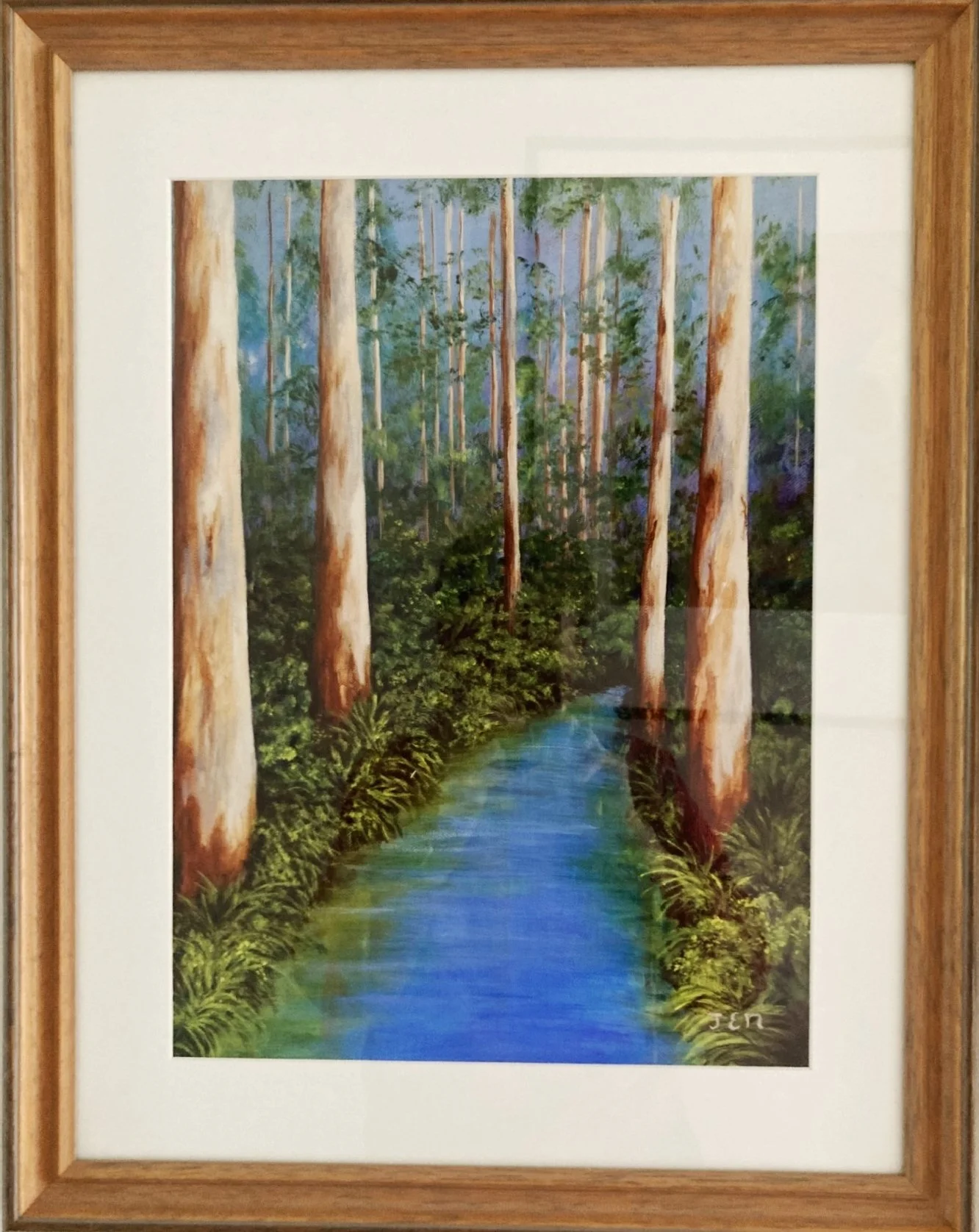 Karri forest meander.jpg