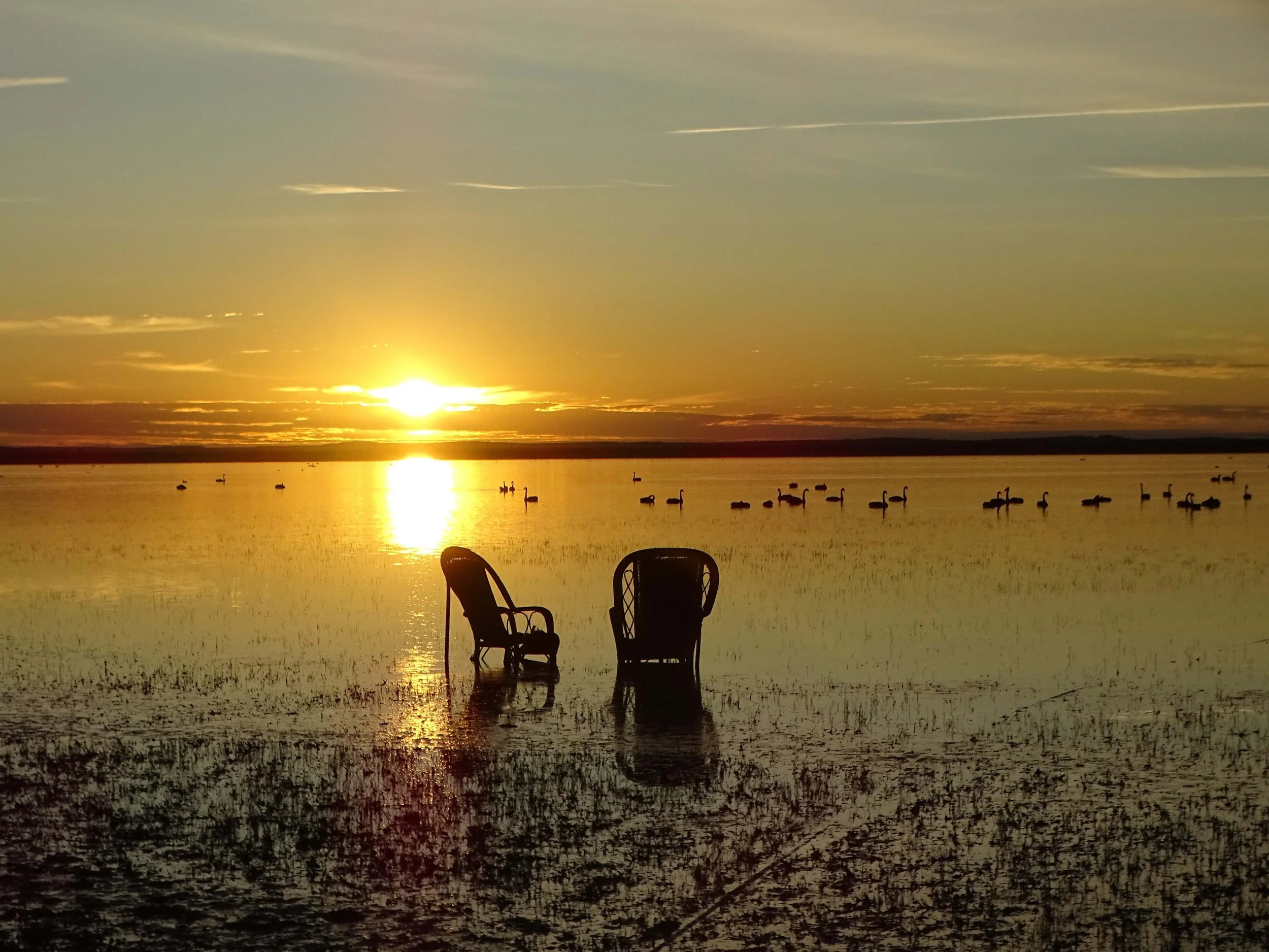 IG44 ID119_FowlerDerek_First Light at Woolen Lake.jpg