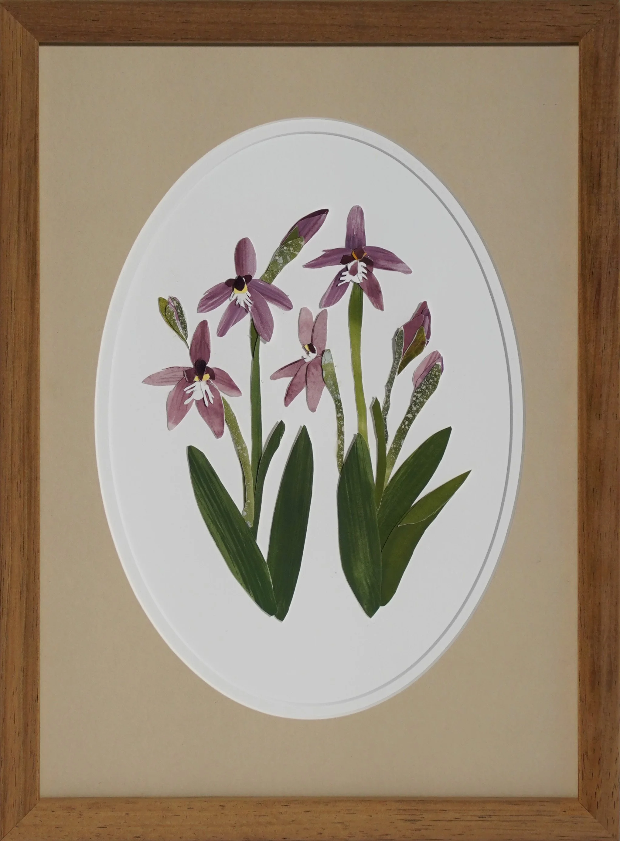 IG48 ID131_DenholmTahnee_Pink Fairy Orchids.jpg