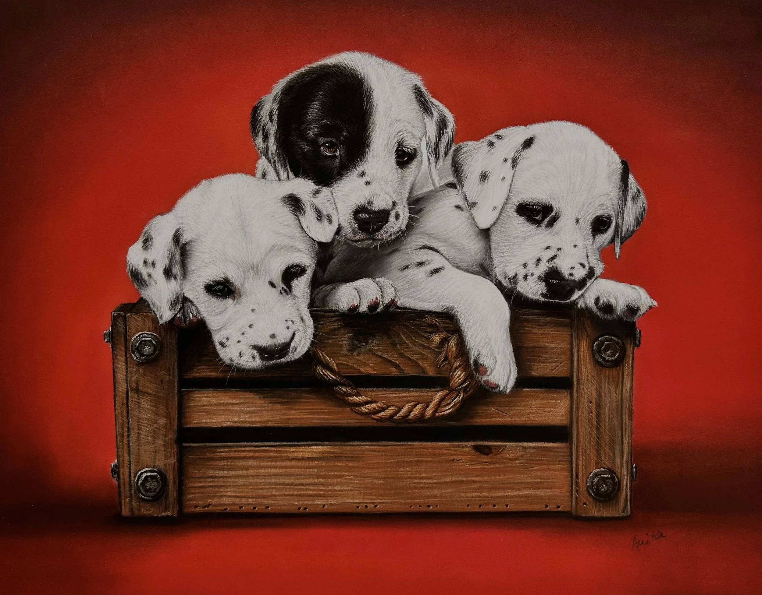Lot 77 ID008_JoblingAnita_Dalmatian Puppies.jpg