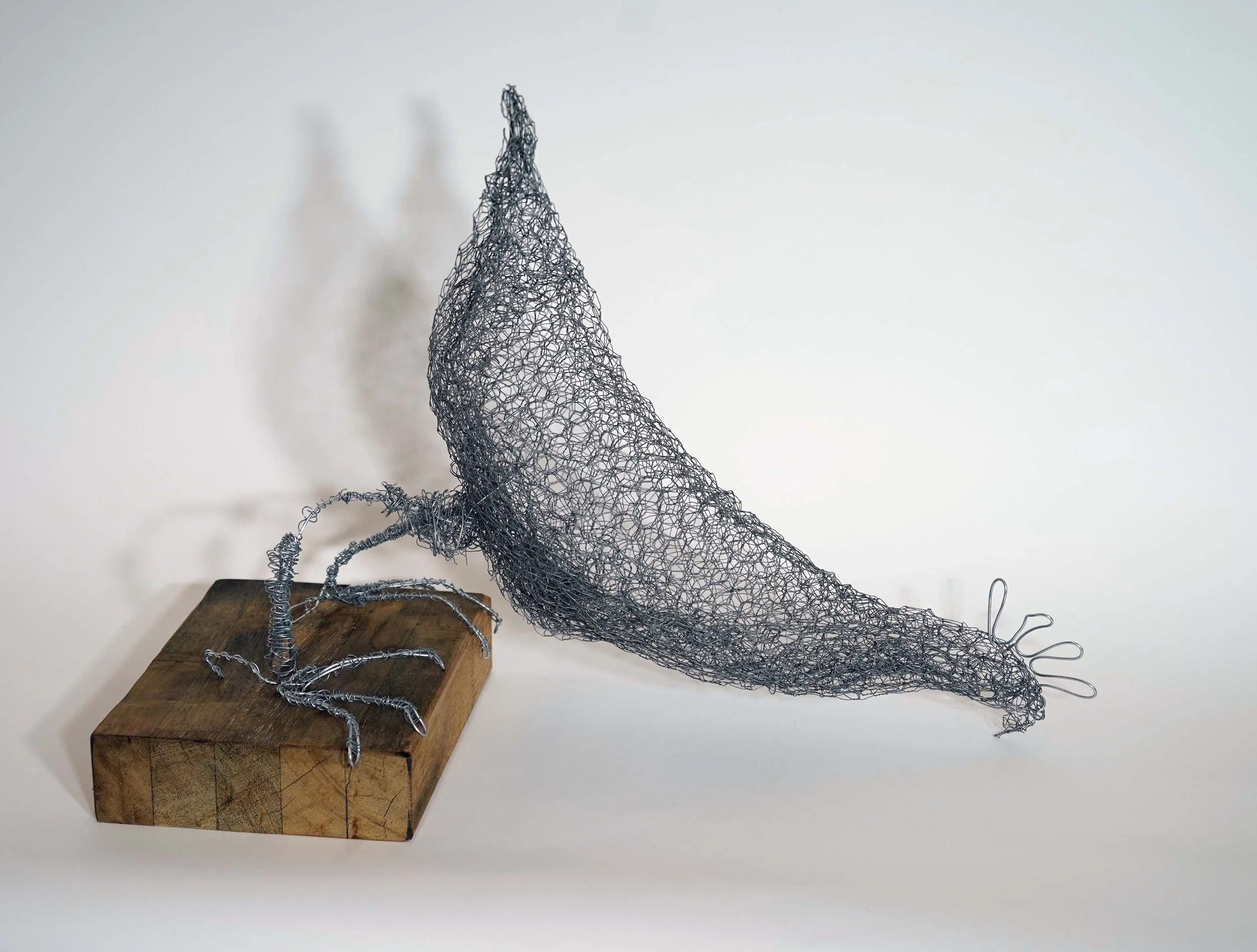 IG59 IDD?_MihailovicLouise_Wire Chicken.jpg