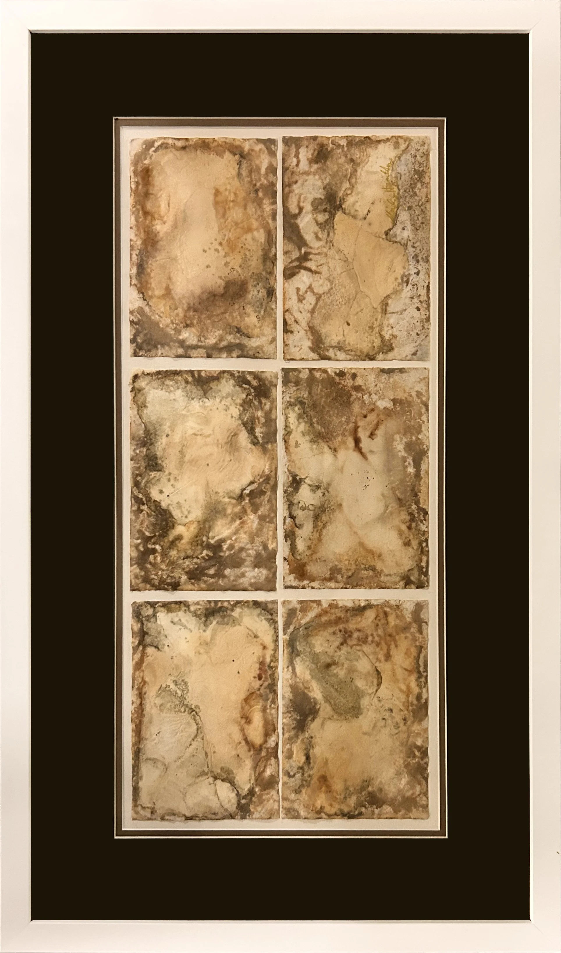 IG-24 Marilyn Hamilton - Fragile Land From Above