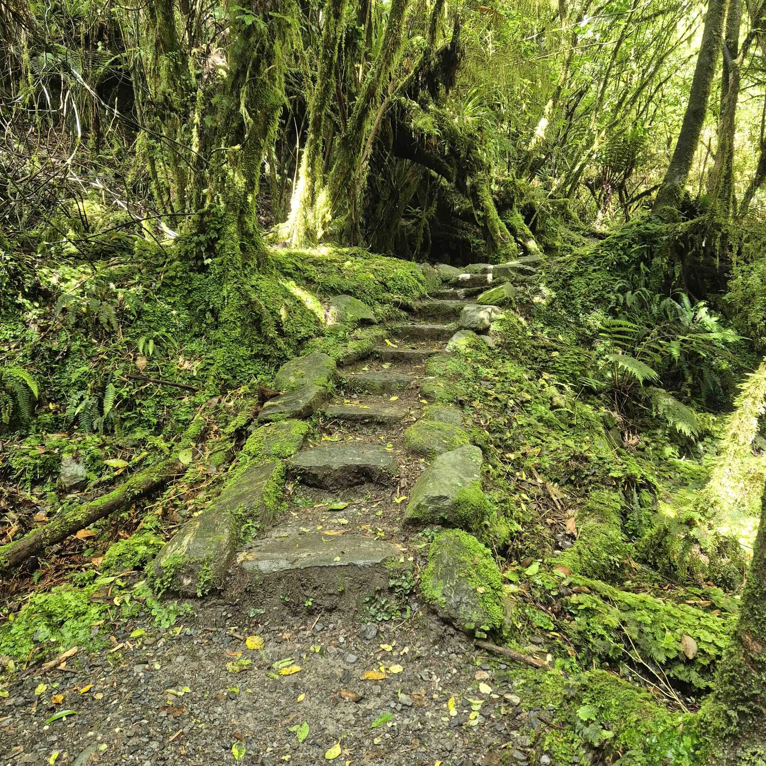 IG19 ID051_SheadKara_Green Grotto.jpg