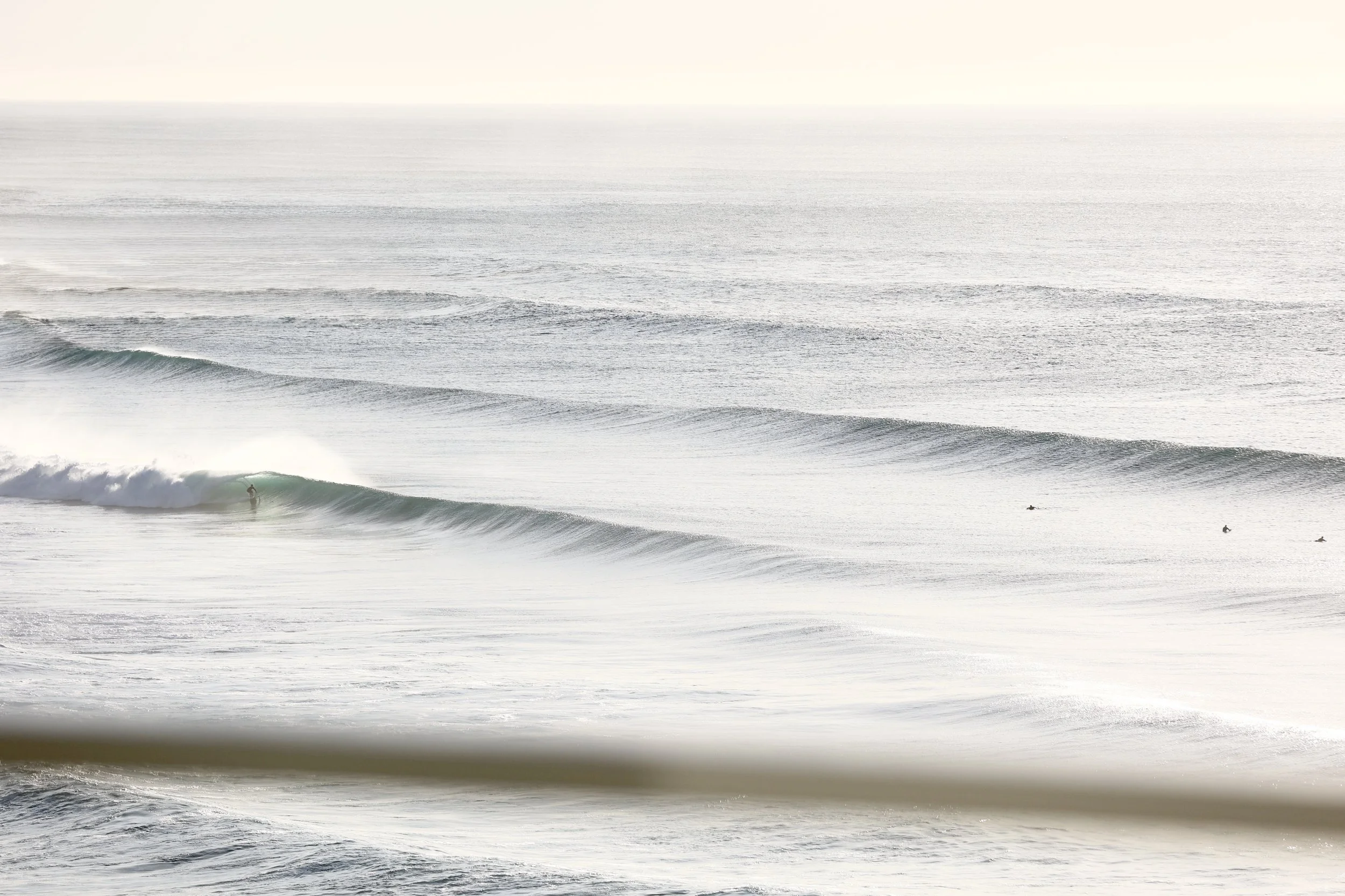 swell 