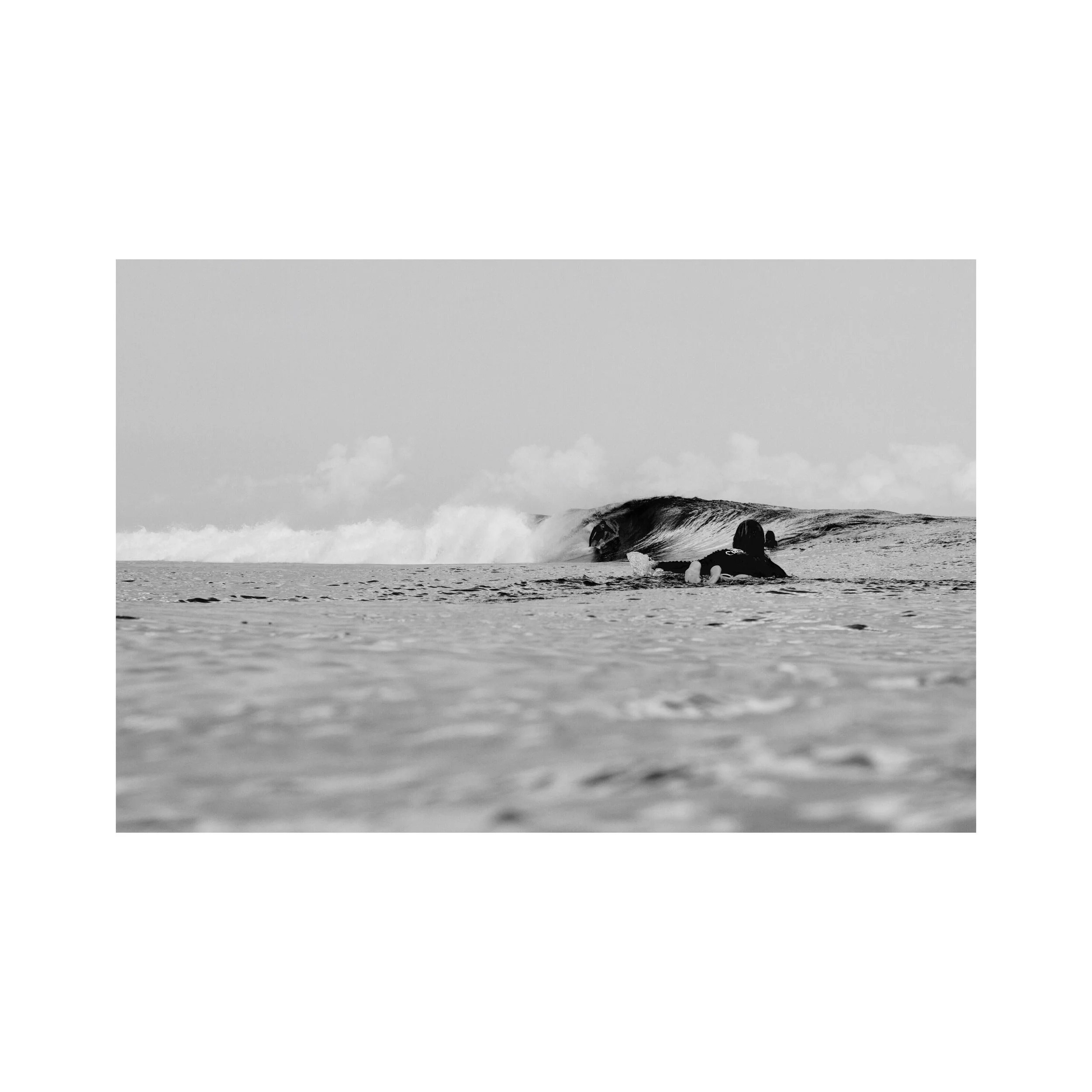 IMG_2901.jpeg