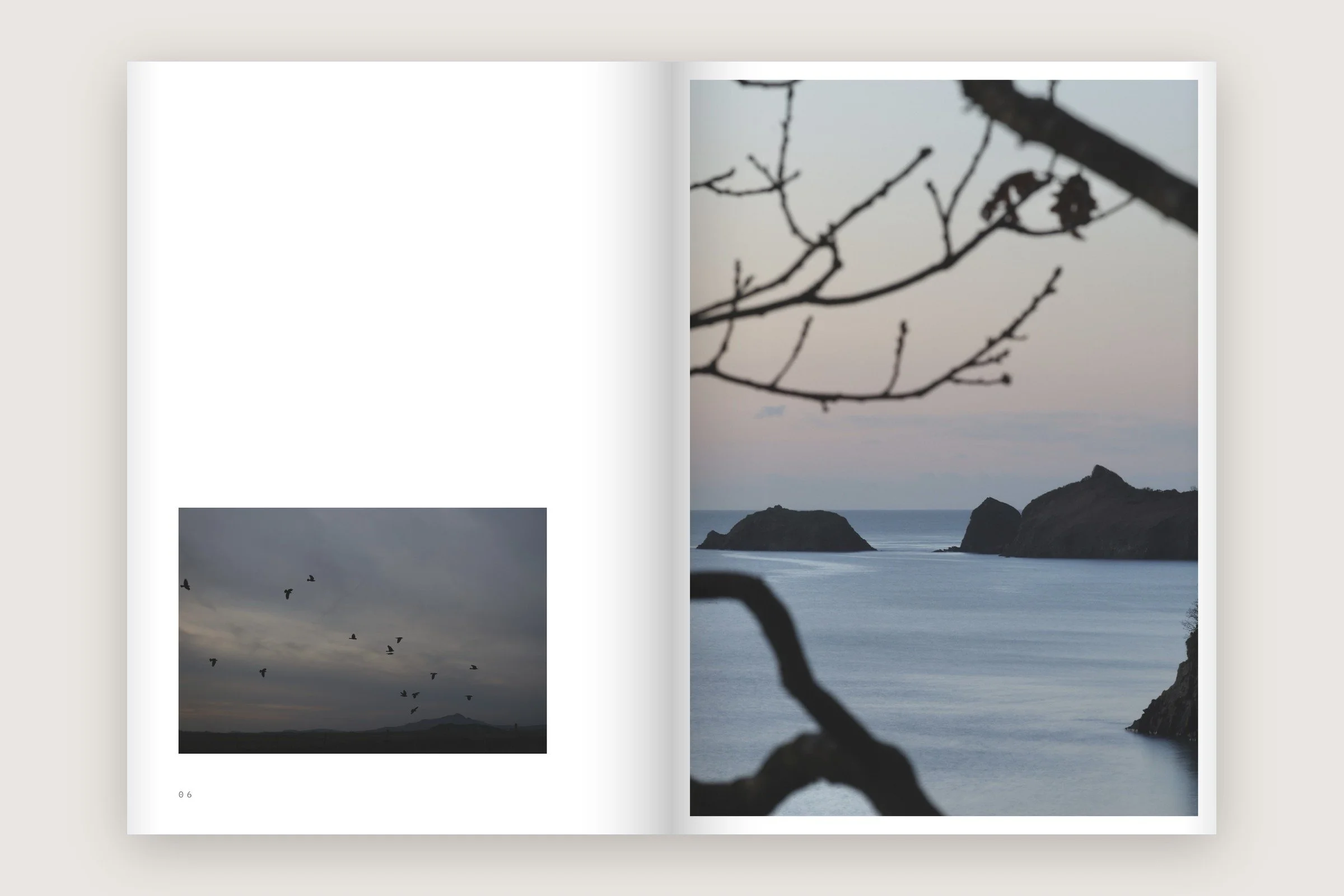 tyddewi-portrait-spread-06-07-crows-branches.jpg