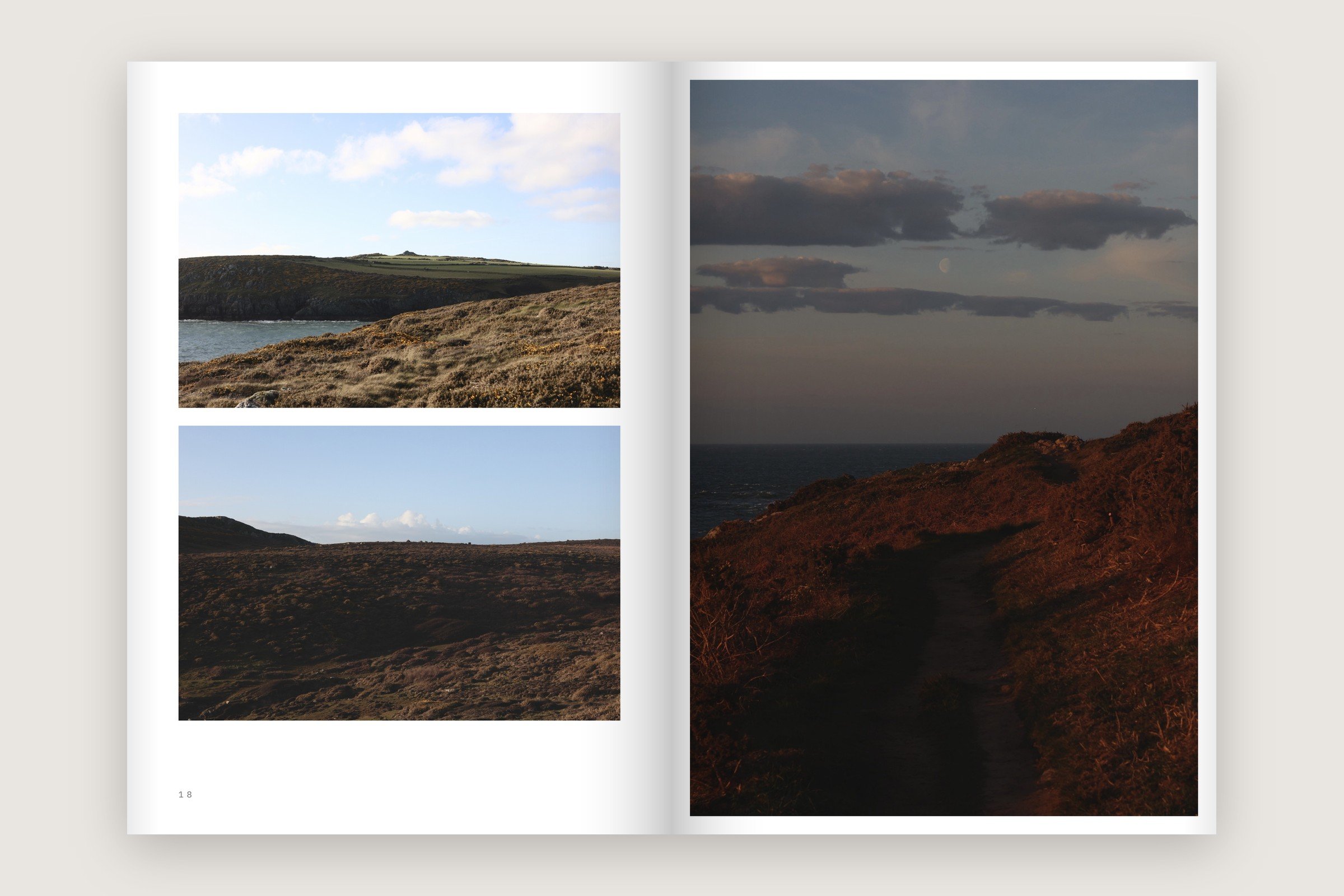 tyddewi-portrait-spread-18-19-moorland-moonpath.jpg