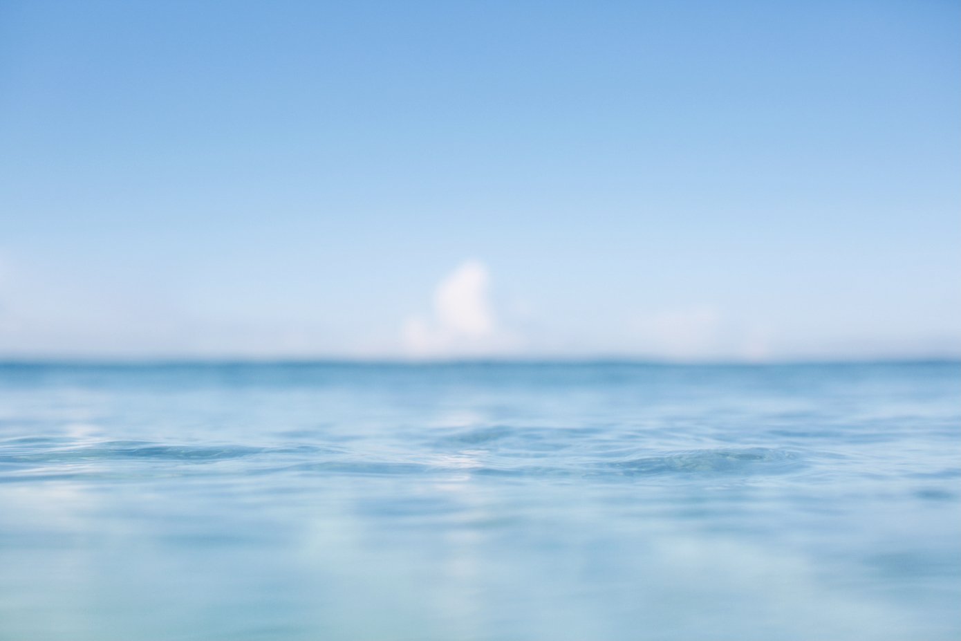 bondi-blues-1390×927 .jpeg