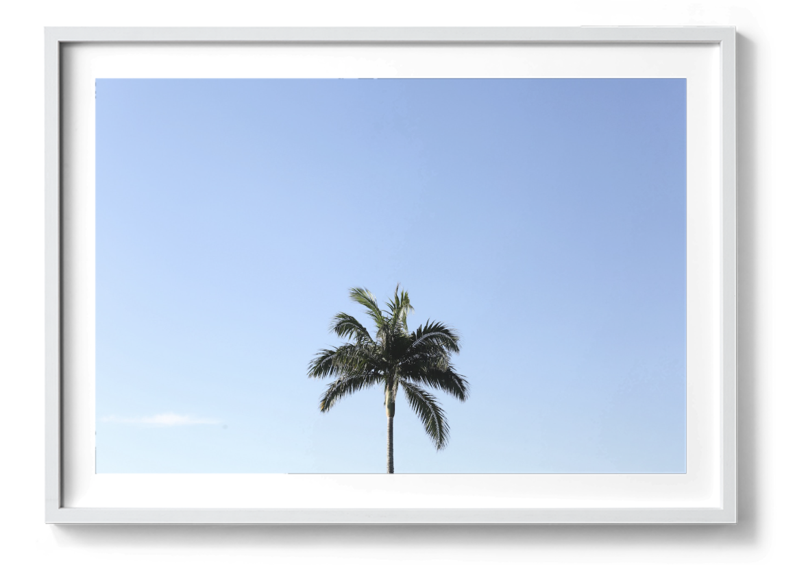 simples-frame-border.png