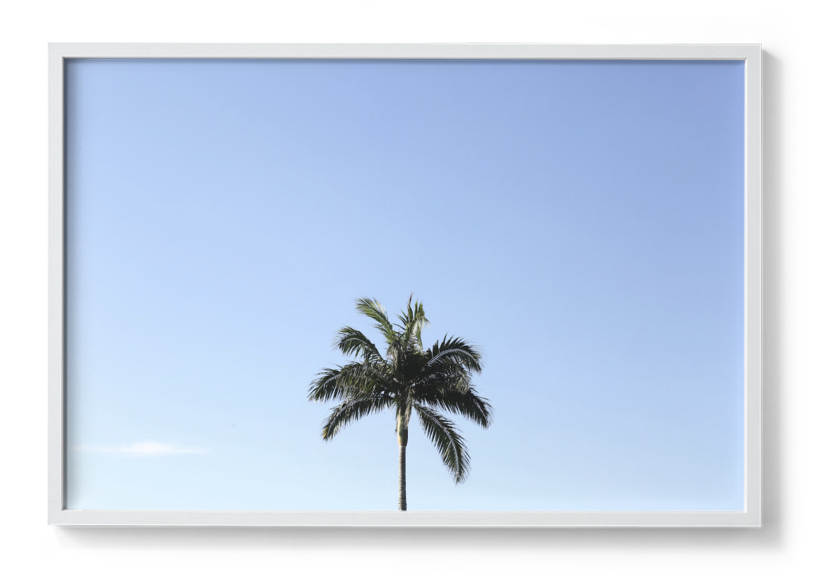simples-frame-no-border.png