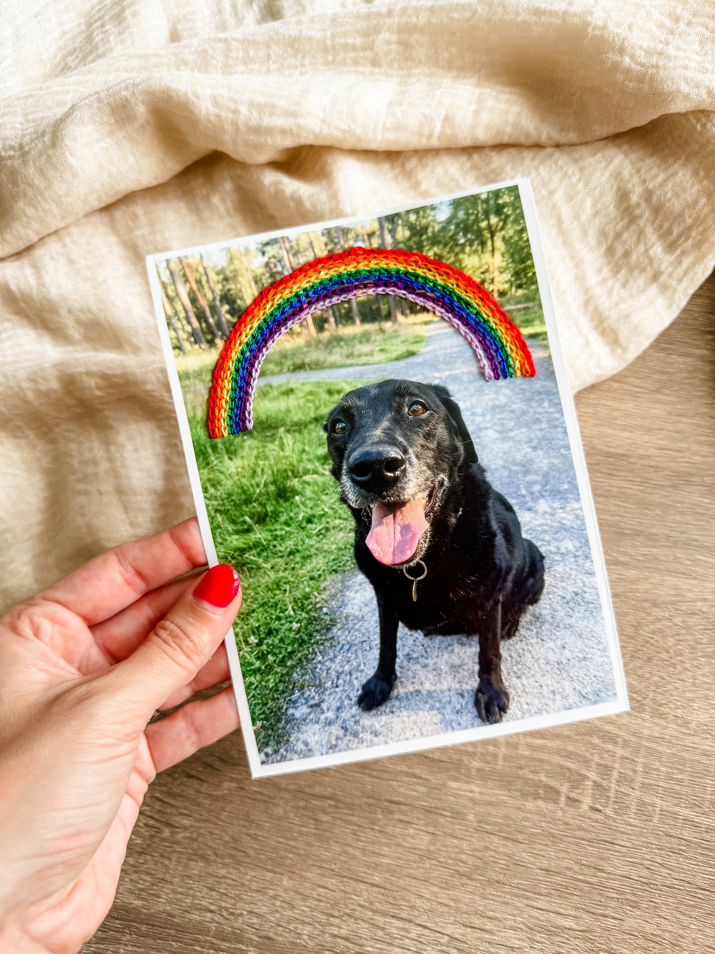 Pet Embroidery_Rainbow Only_5x7”.jpg