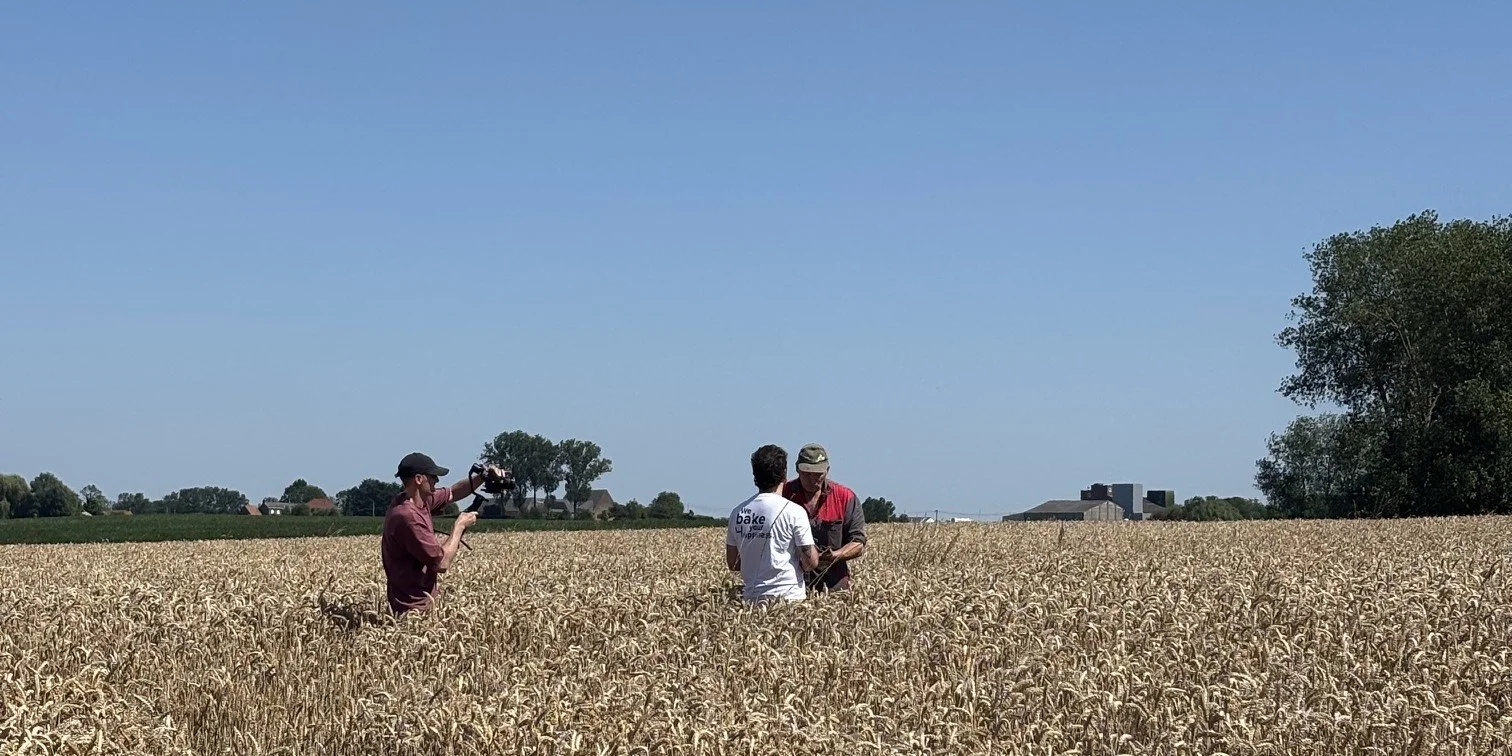 De Pajotter: ons brood van eigen graan uit Pajottenland