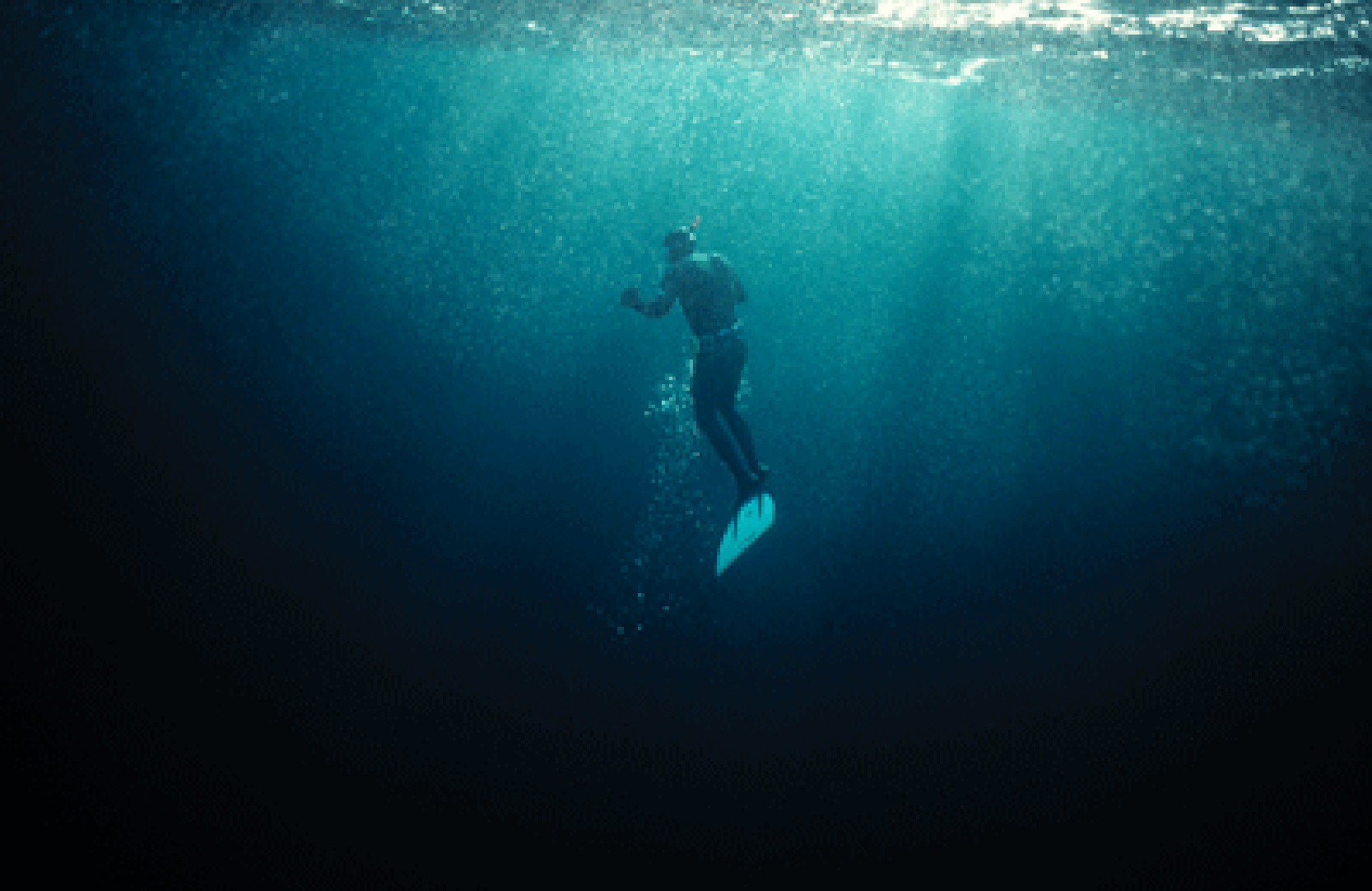 freedive.png