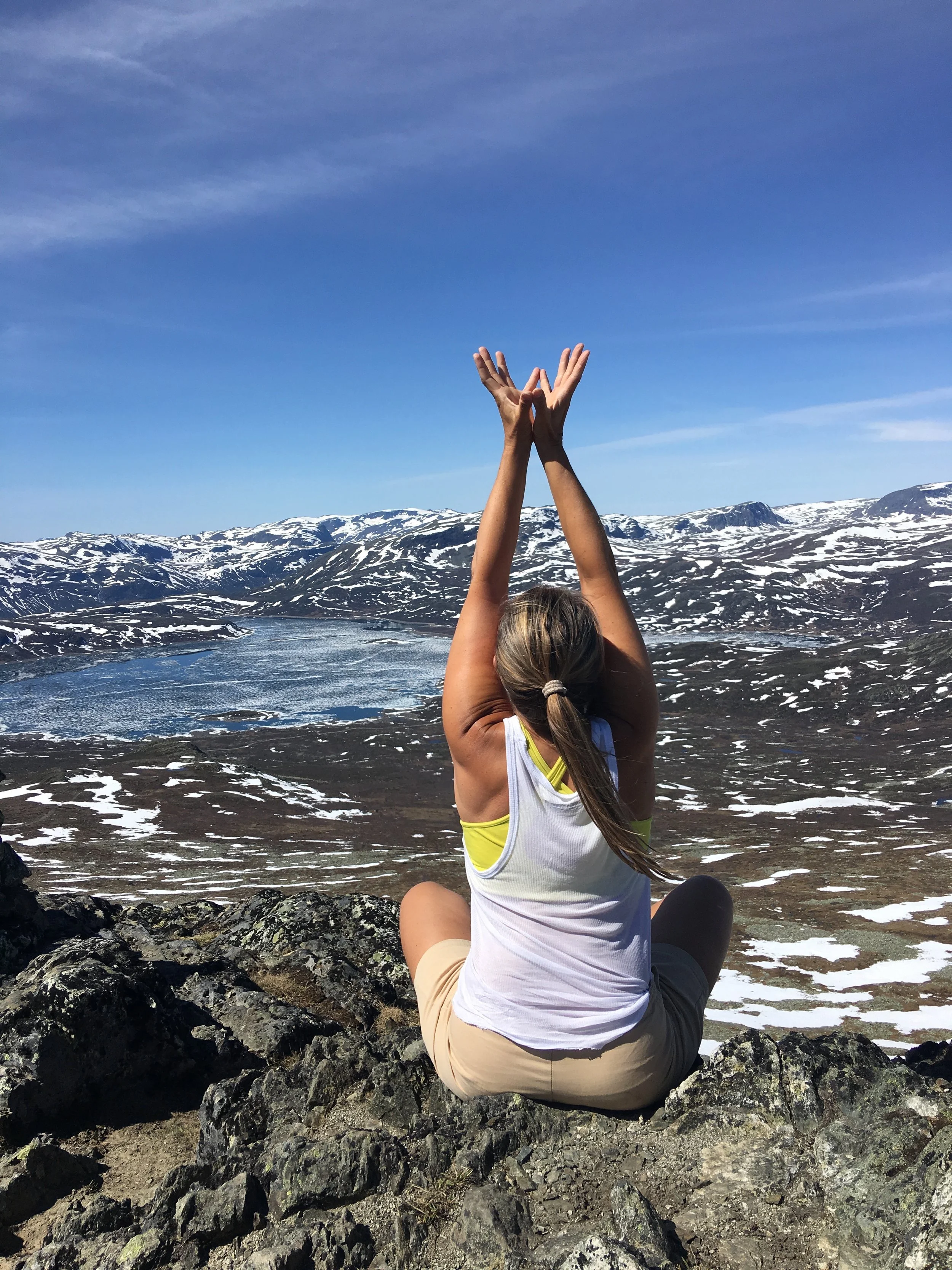 lotus mudra fjell.jpg