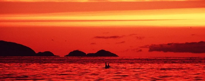 solnedgang202 kopi.jpg