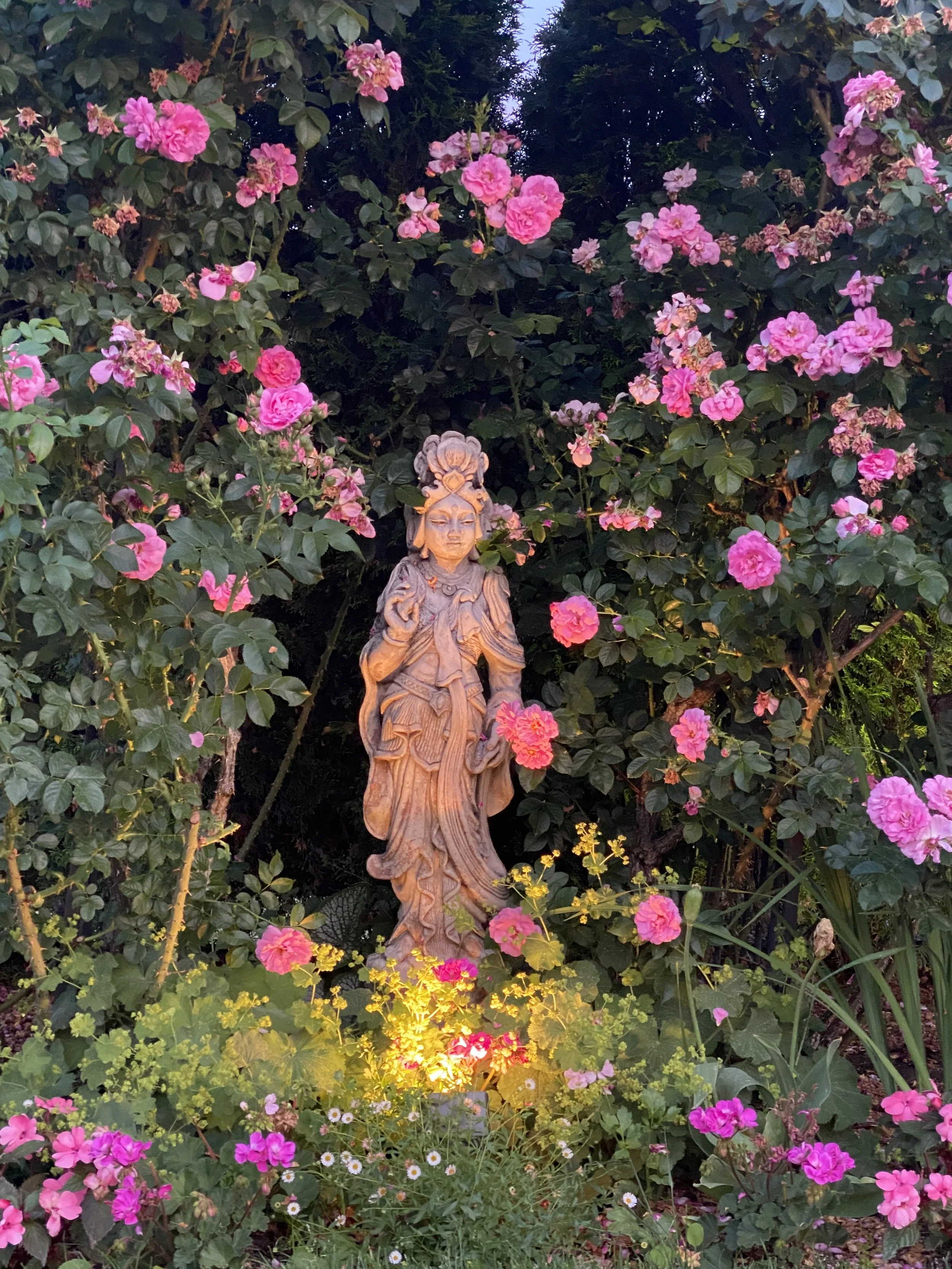 ROSER KUAN YIN.jpeg
