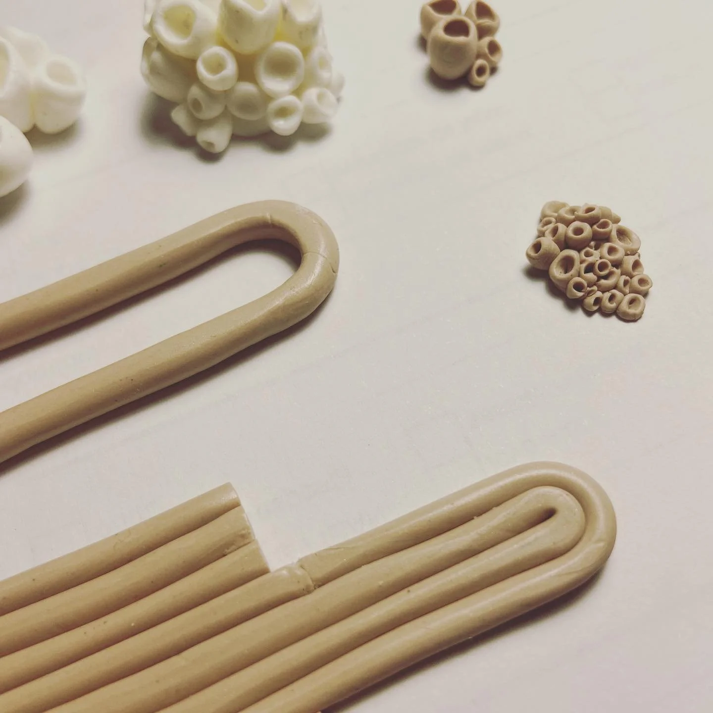 Getting back at it 🔨

#prototype #prototyping #coral #polymerclay #fimo #handmade #polymerclayjewellery #jewelrydesigner #jewelry #jewellery