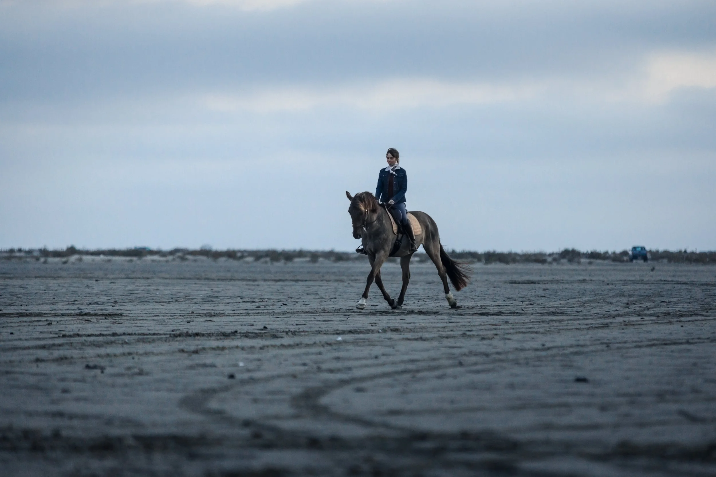 Votre cheval manque d’impulsion? Améliorez la réponse aux jambes avec les transitions intra-allure