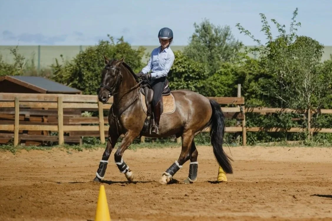 Le contact en équitation : ce que votre cheval essaie vraiment de vous dire