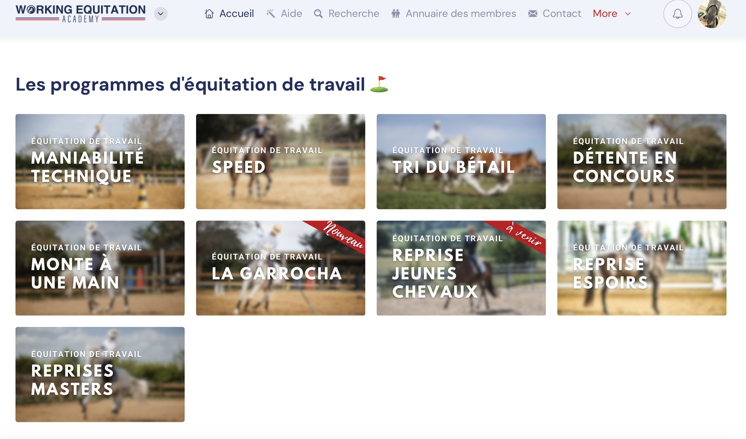 les programmes d'équitation de travail