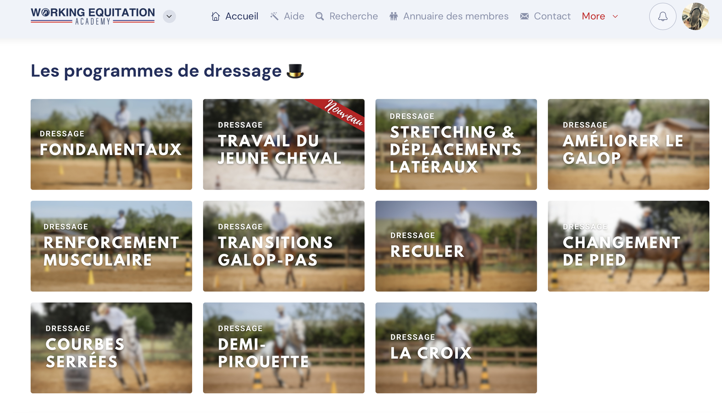 les programmes de dressage