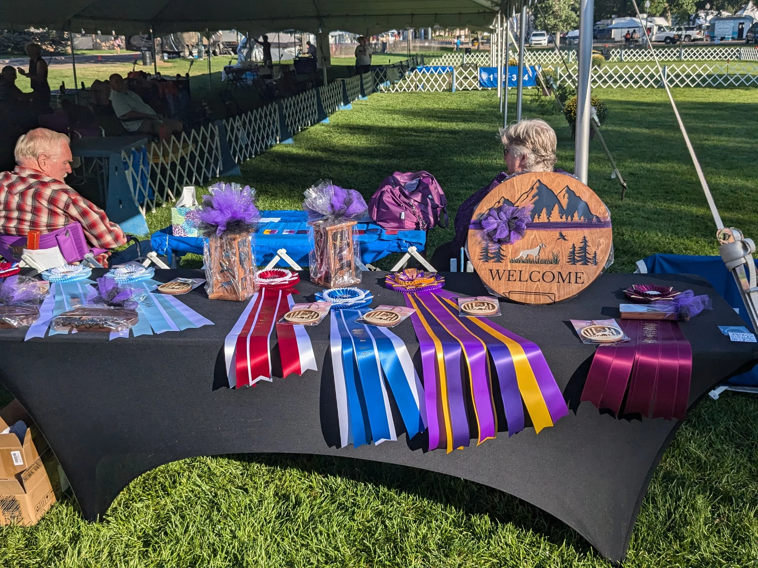 Mile High Weimaraner Club Designated Specialty September 2024 (WCA Regional Event)