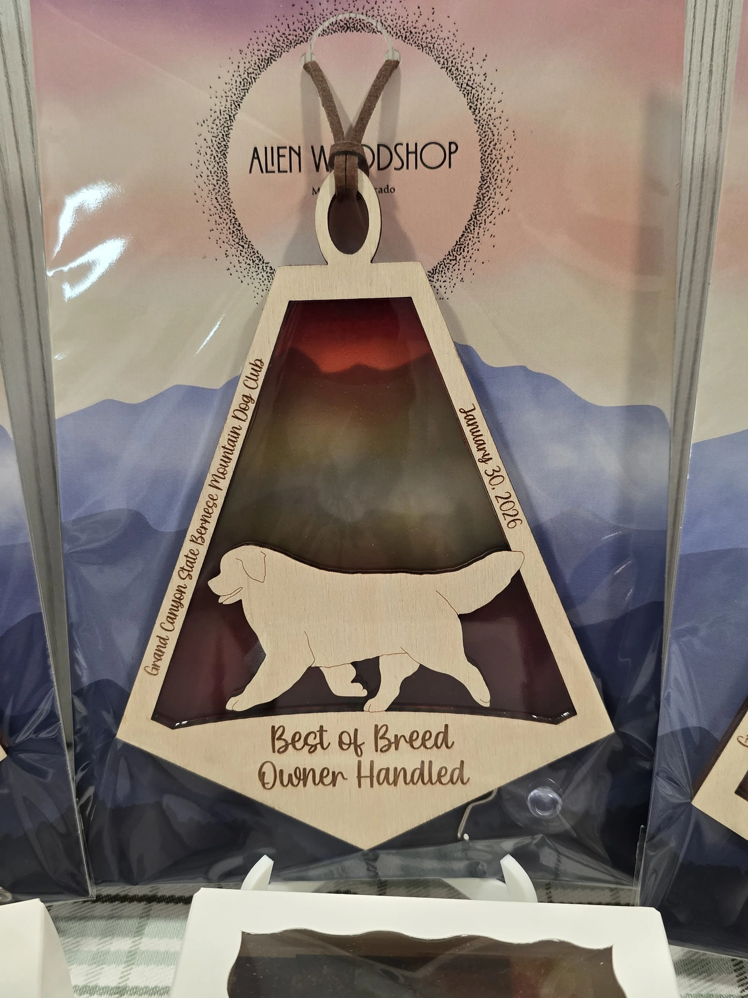Acrylic suncatcher for the Grand Canyon State Bernese Mountain Dog Club, Best of Breed Owner Handled