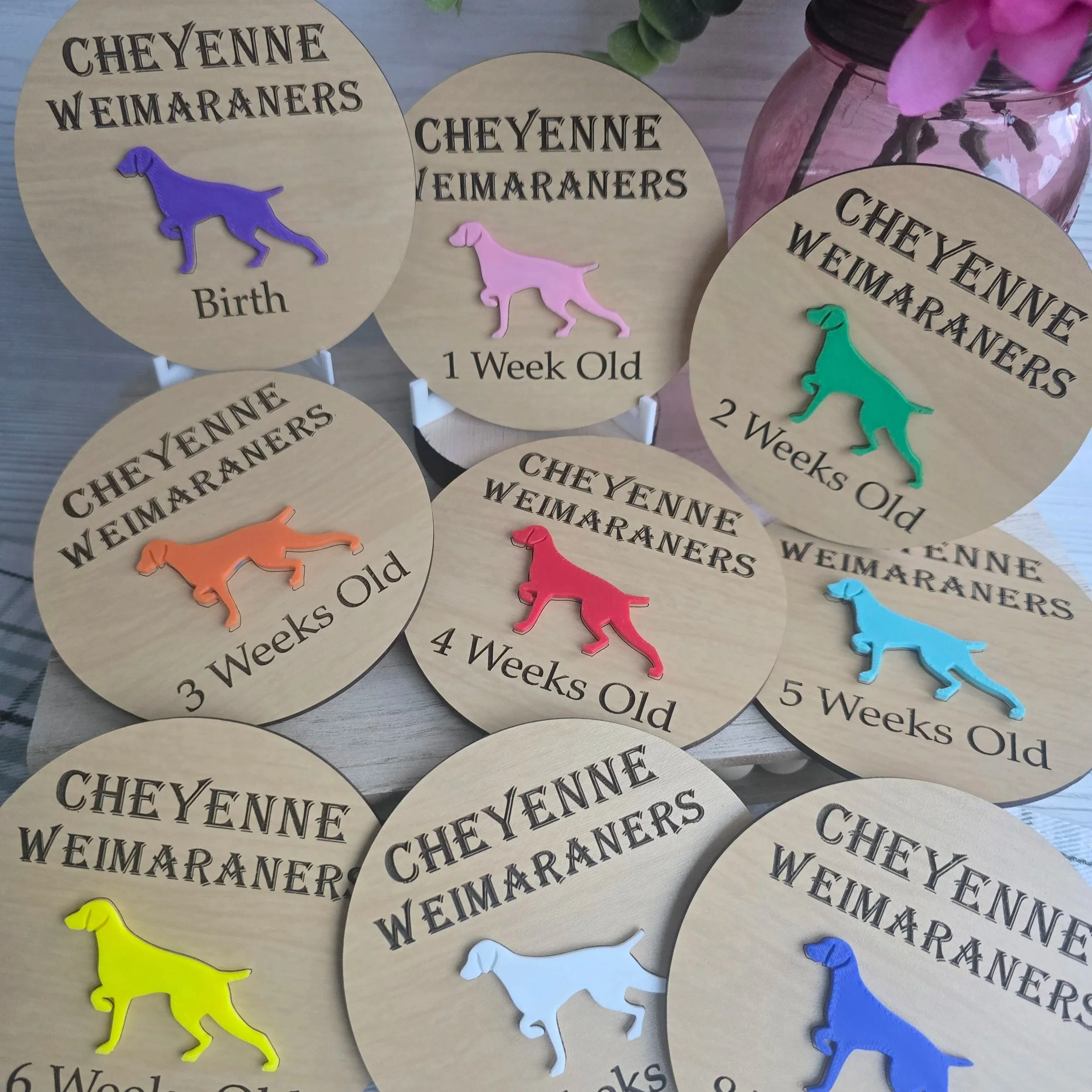 Wooden tags with printed text indicating dog breed and age, accompanied by colorful plastic dog silhouettes, placed on a light-colored surface with a pink flower in a vase nearby.